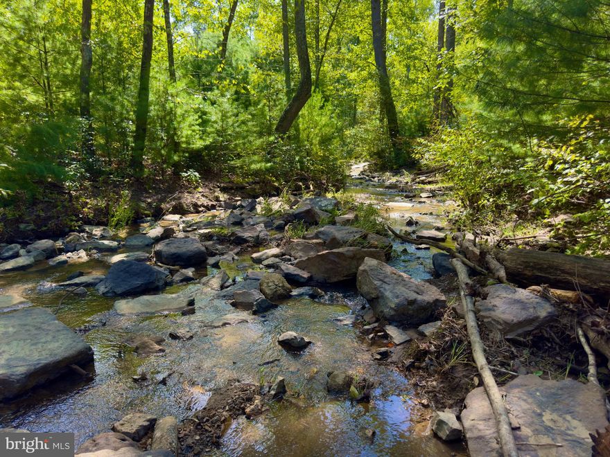 Homesteading, Homesteading, Homesteading - no restrictions on  animals.
Located at the end of N Pioneer lane, this home and outbuildings sit on over 25.6  Acres of ground!(2 lots)
Discover your dream home nestled in the serene landscapes of Augusta WV.  This spacious 3 bedrooms,  4 bathroom residence offers  3,200sqft of finished living space. Home boasts an open concept that allows you to seamlessly flow from the kitchen to the living room, complete with a cozy fireplace.  The main level Primary bedroom features a private bath , providing a tranquil retreat. The finished basement allows perfect space for gatherings. Oversized two car garage leaves plenty of space for vehicles and extra storage.  sellers also have a propane backup generator which is ready for any adverse weather.  
This home offers an outdoor paradise ideal for hunting, atv adventures or simply enjoying nature. Bask in the scenic views of the mountains from the covered front porch or enjoy  watching nature’s wildlife. 
Conveniently located 15 minutes from Capon Bridge and 40 minutes from Winchester Virginia.  Located in the DC cola area! 
This home is perfect for those seeking a blend of comfort, luxury, and outdoor living. Don’t miss out on this incredible opportunity to own this property!