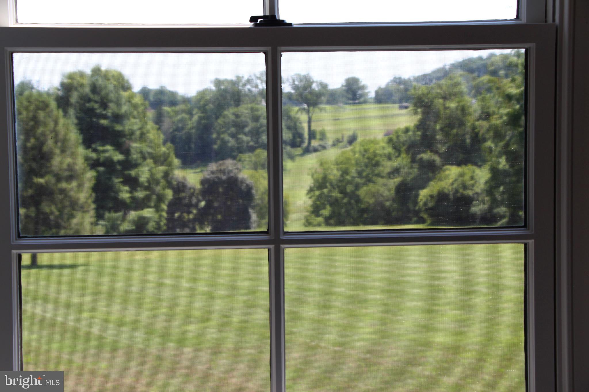RADNOR HUNT - Residential