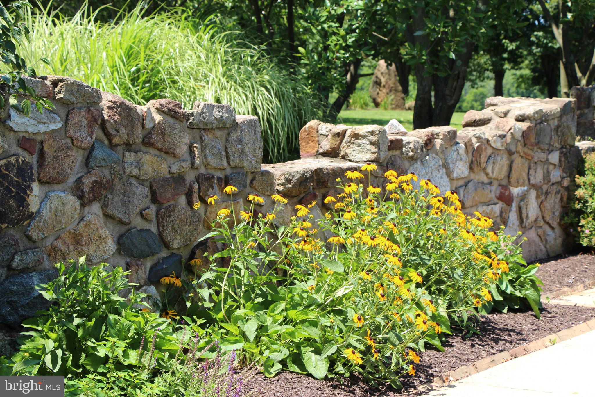 RADNOR HUNT - Residential