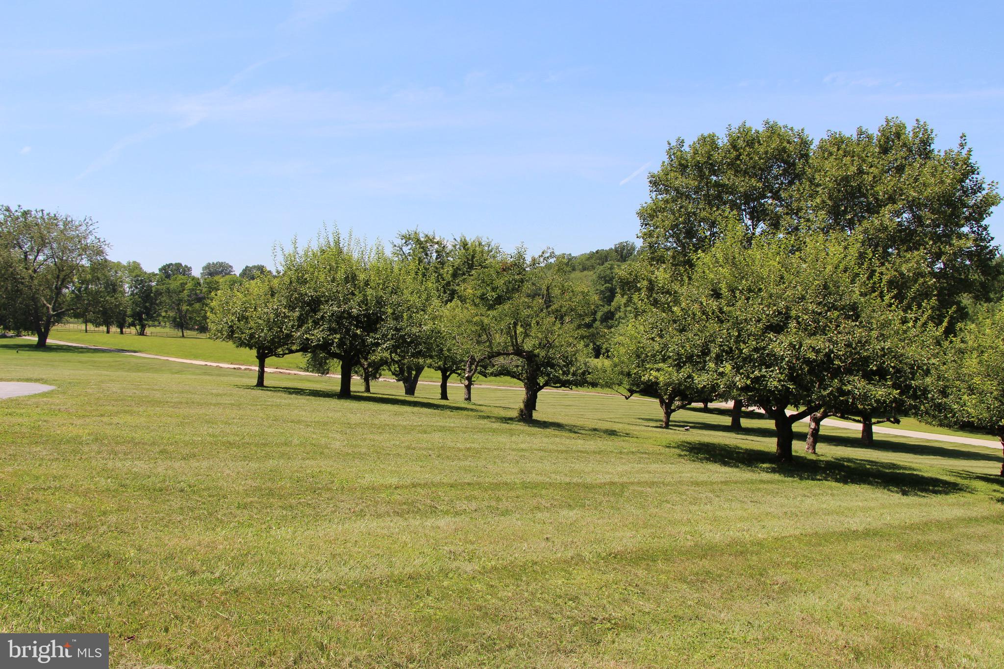 RADNOR HUNT - Residential