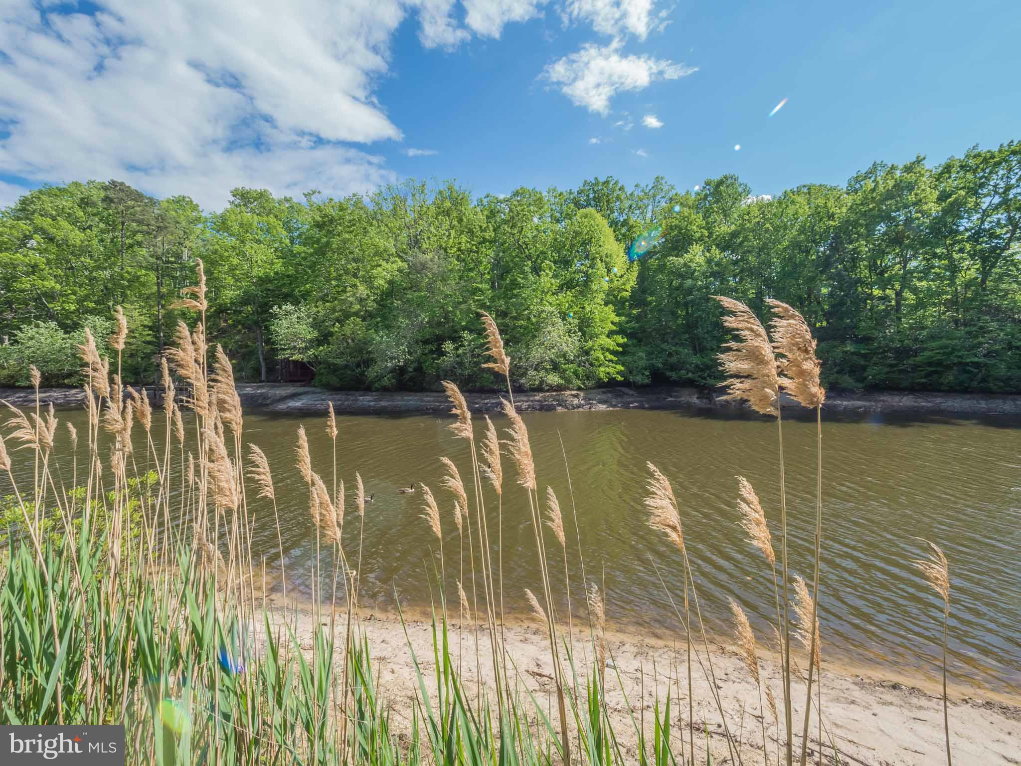 CHESAPEAKE RANCH ESTATES - Residential