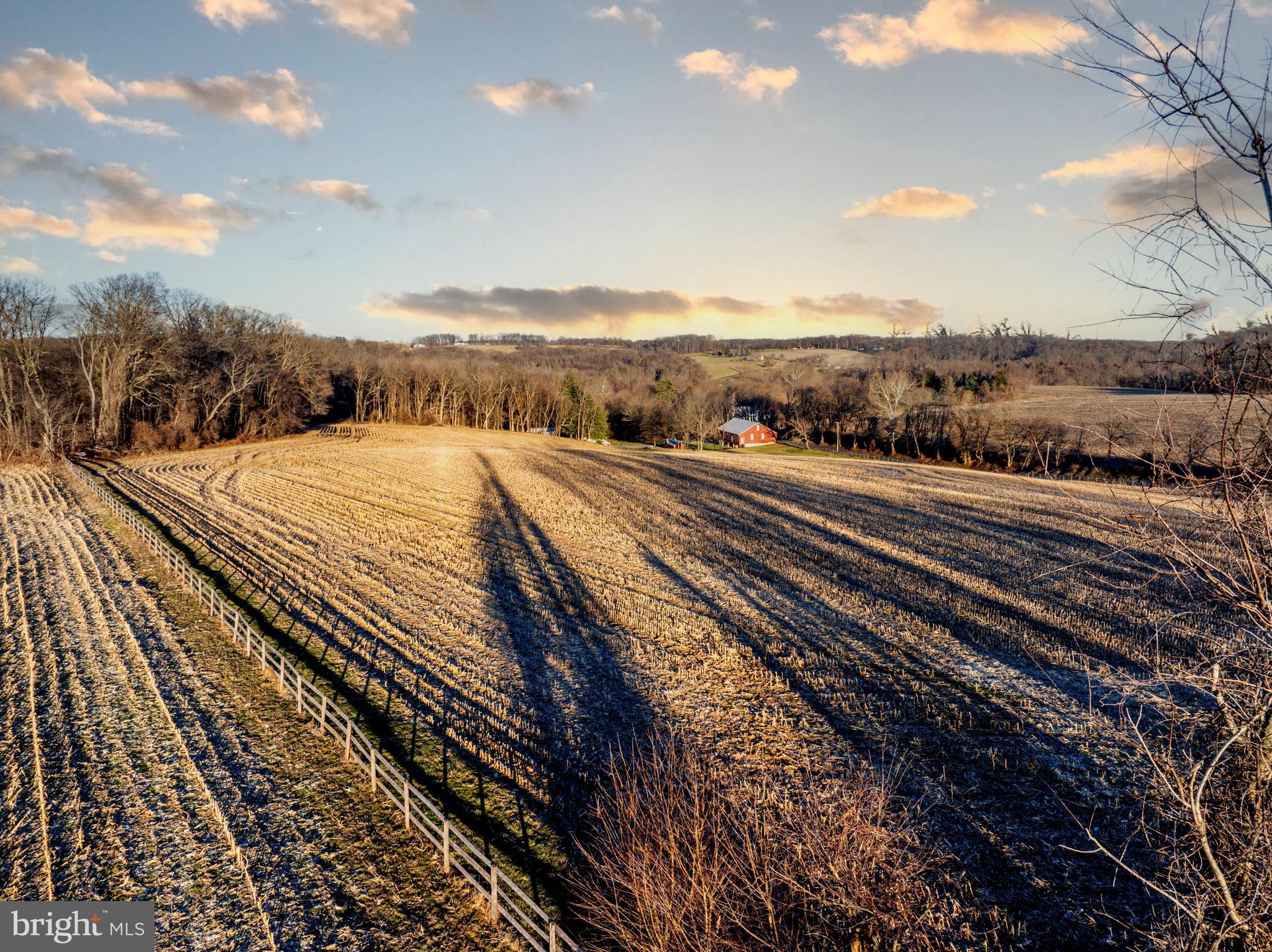FREELAND - Residential