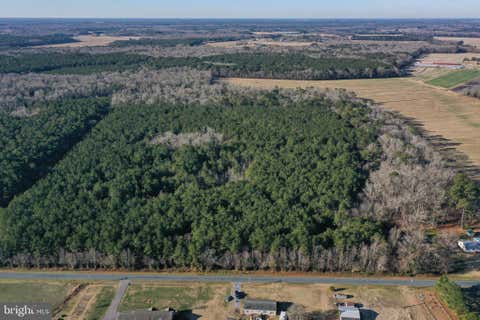 Vacant Land For Sale - Bent Pine Road<br/> WILLARDS, MD 21874