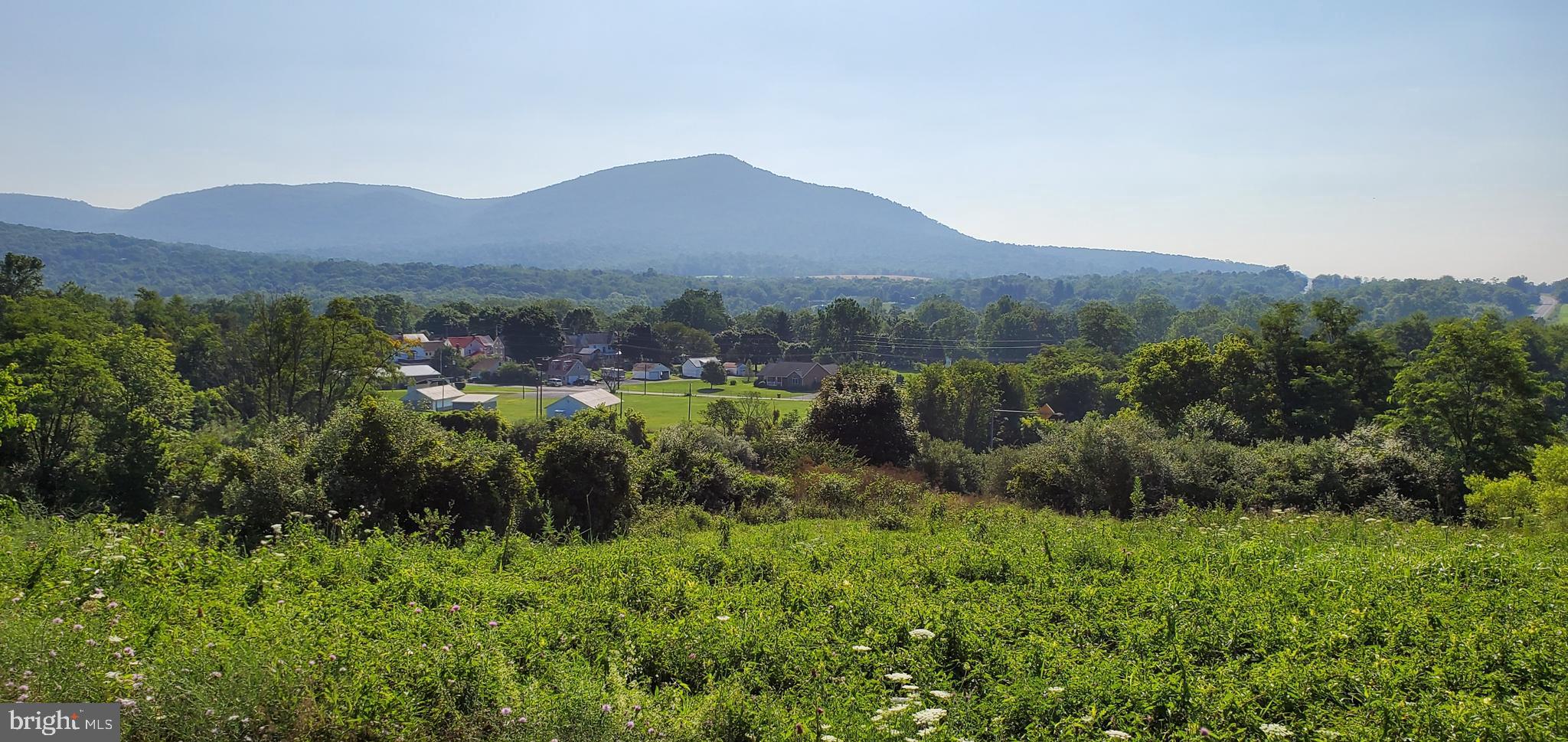 LOUDON'S VIEW - Land