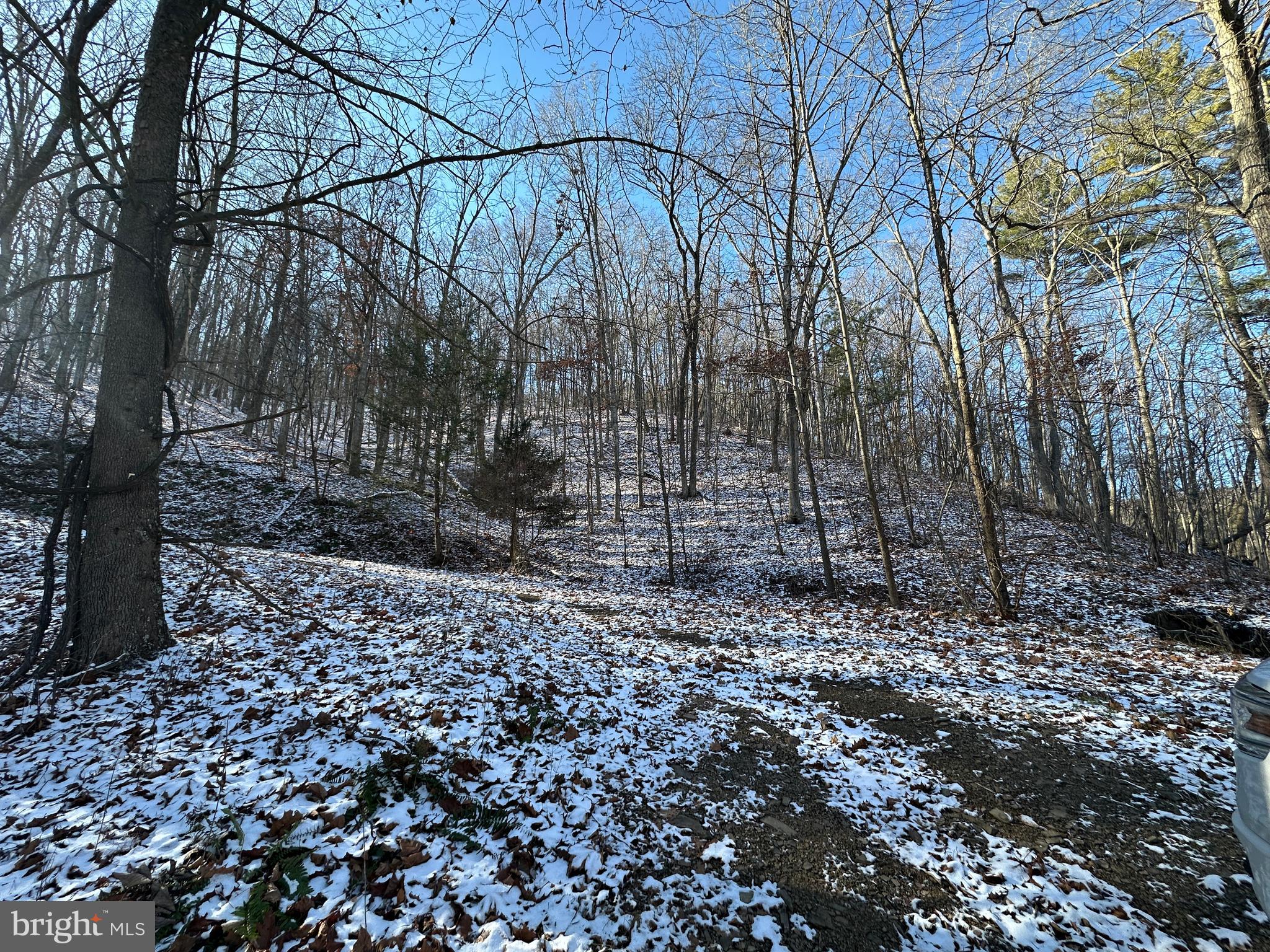 BLUFFS ON THE POTOMAC - Land