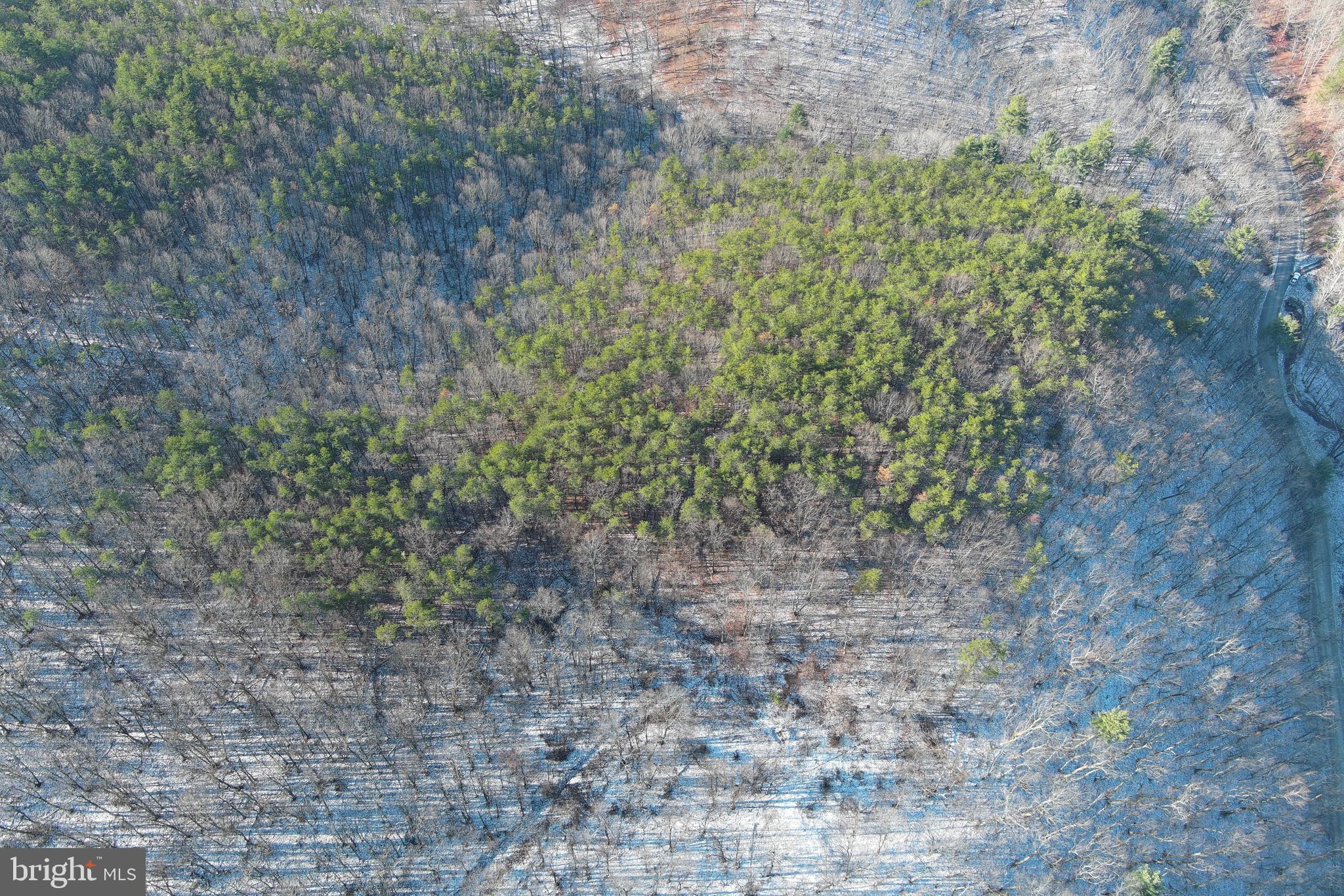 BLUFFS ON THE POTOMAC - Land