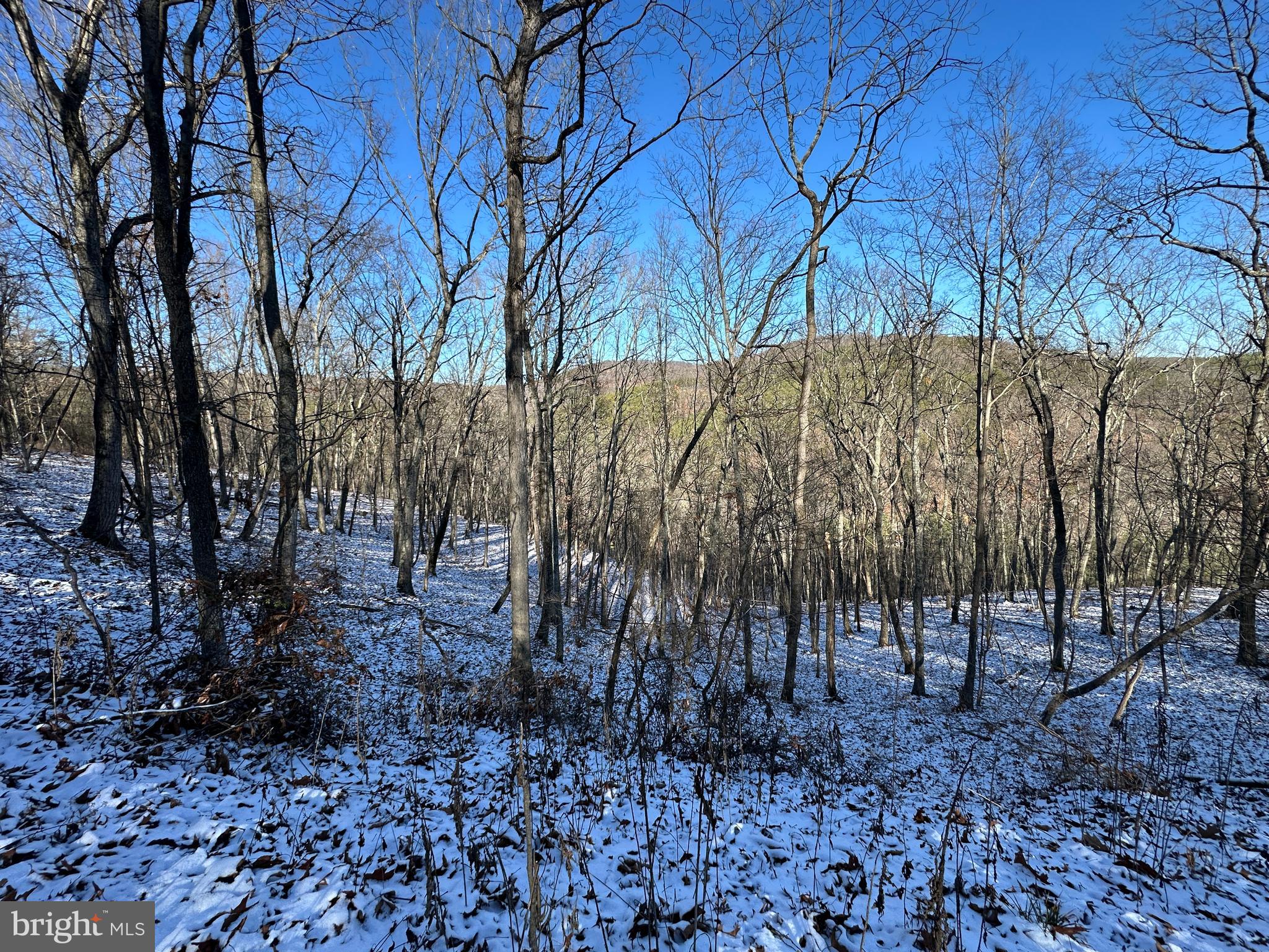 BLUFFS ON THE POTOMAC - Land