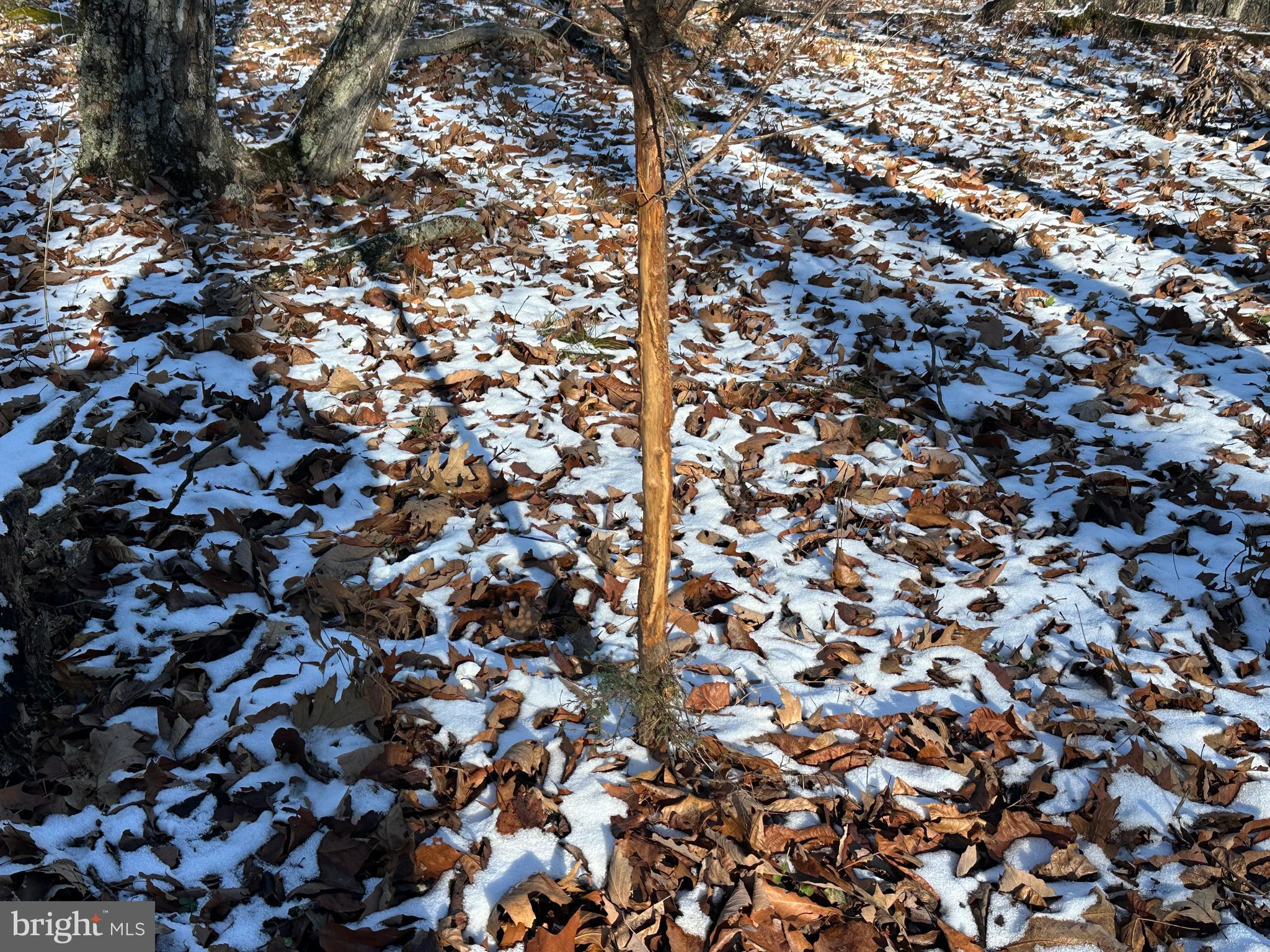 BLUFFS ON THE POTOMAC - Land
