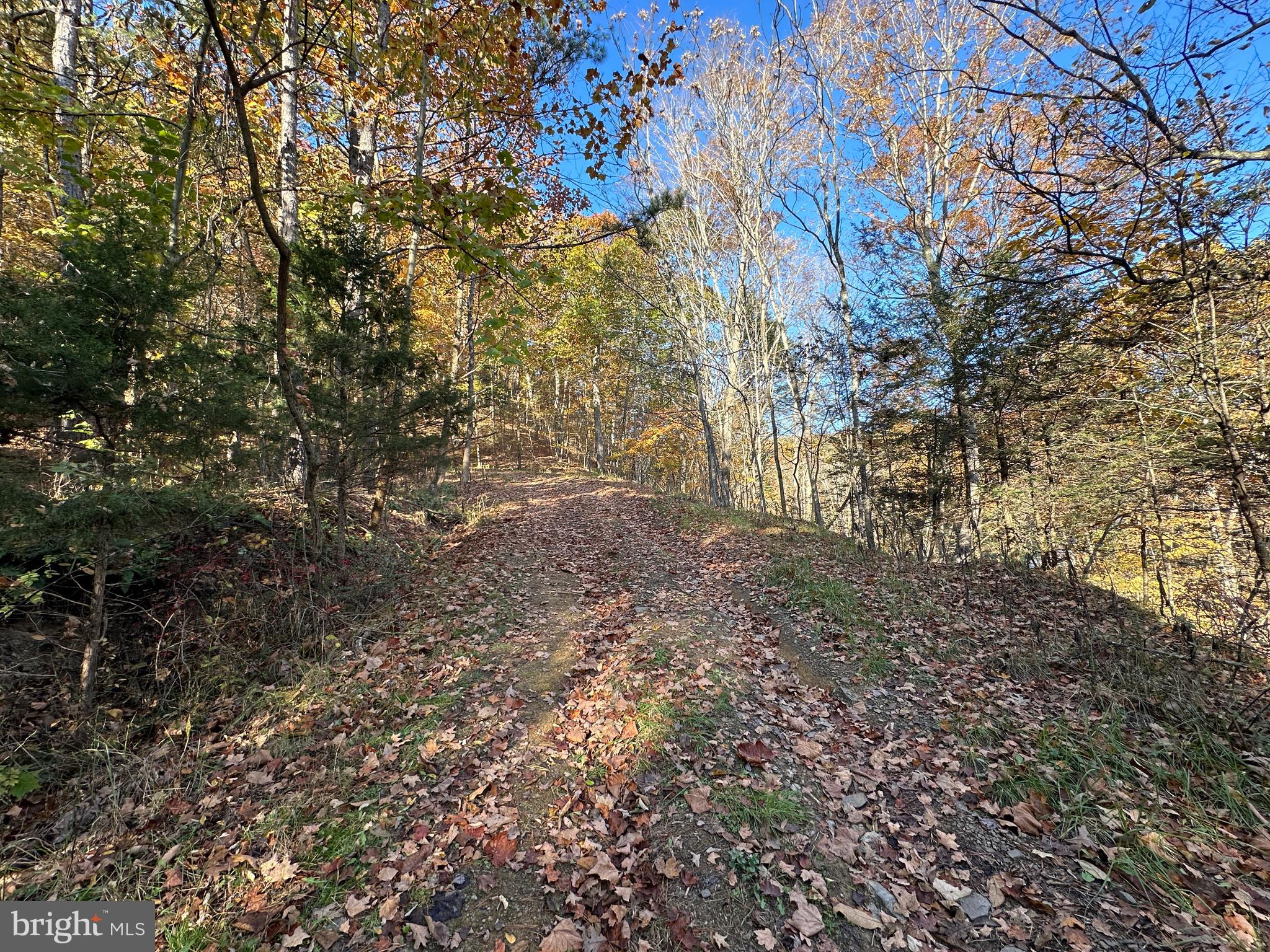 BLUFFS ON THE POTOMAC - Land