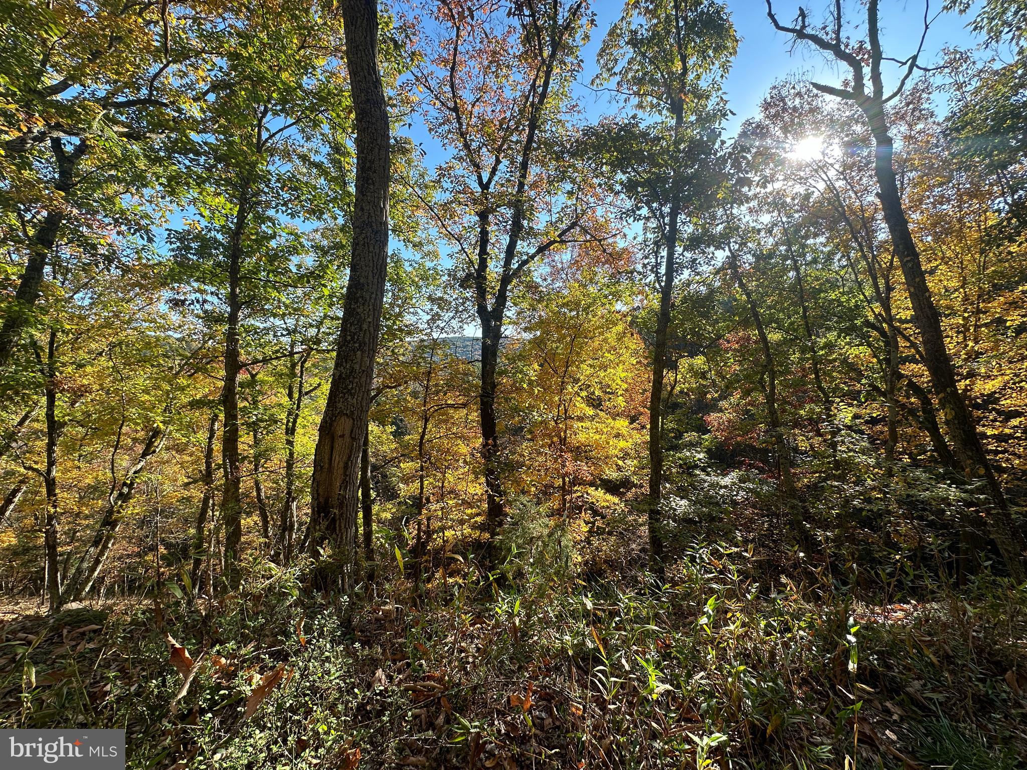BLUFFS ON THE POTOMAC - Land