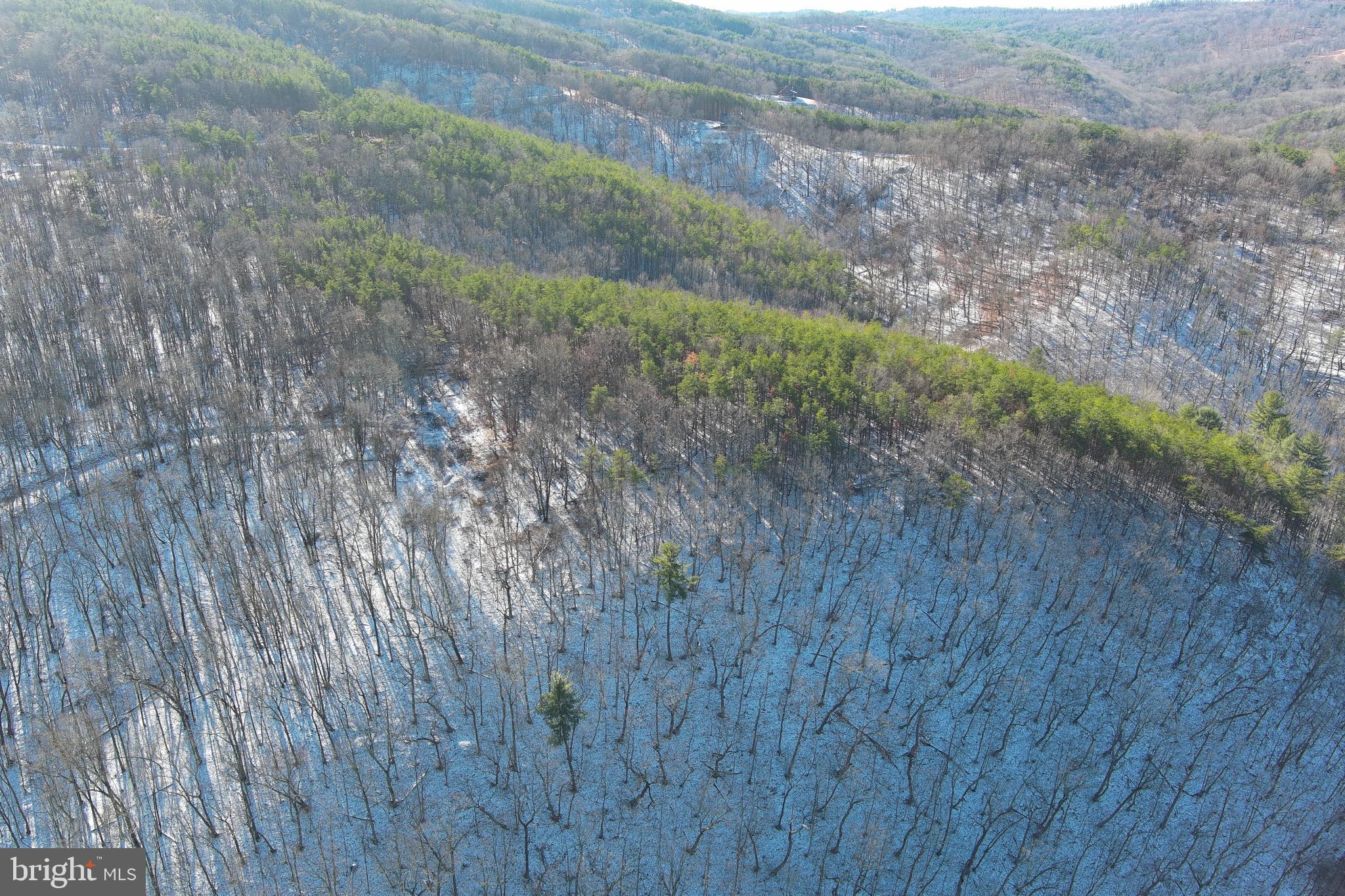 BLUFFS ON THE POTOMAC - Land