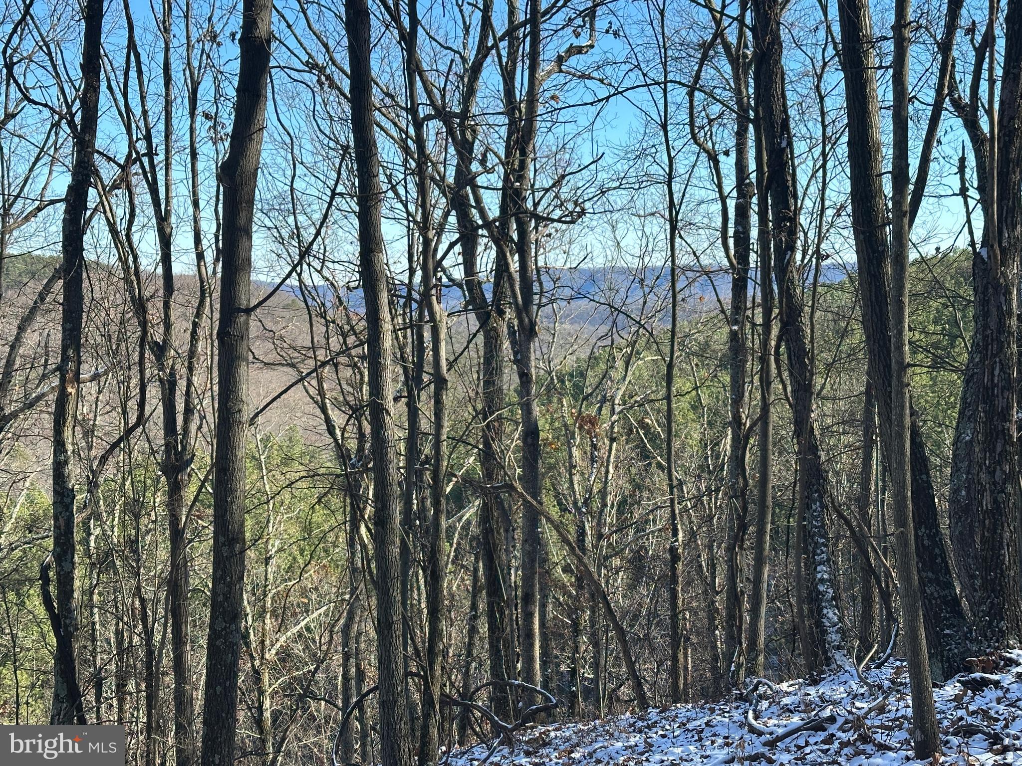 BLUFFS ON THE POTOMAC - Land