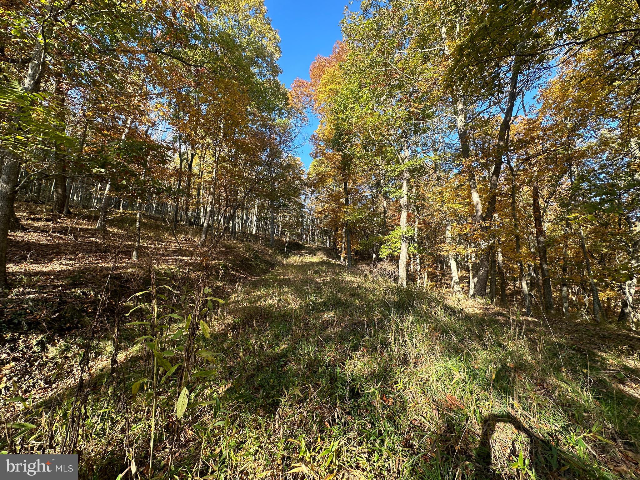 BLUFFS ON THE POTOMAC - Land