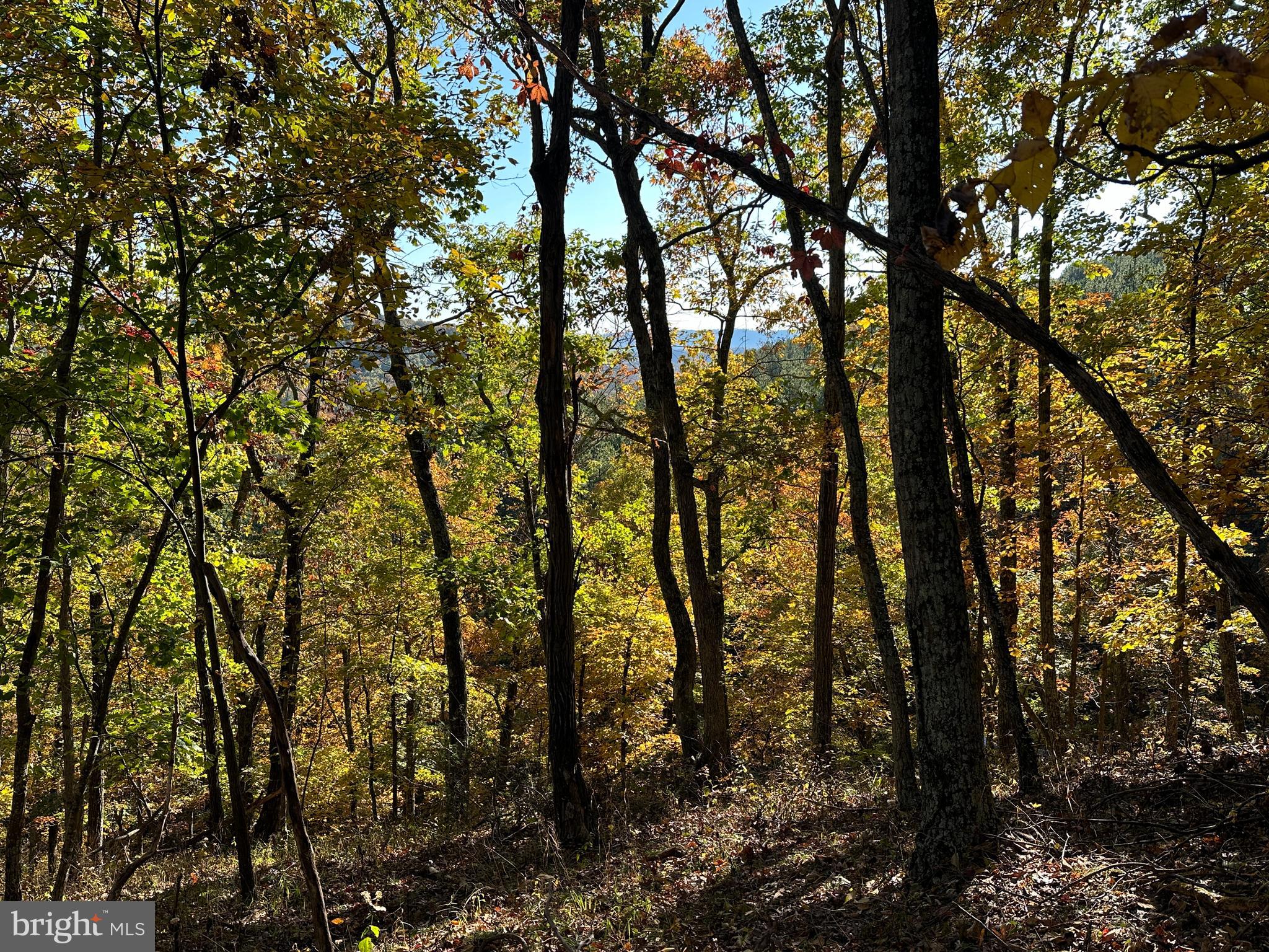 BLUFFS ON THE POTOMAC - Land