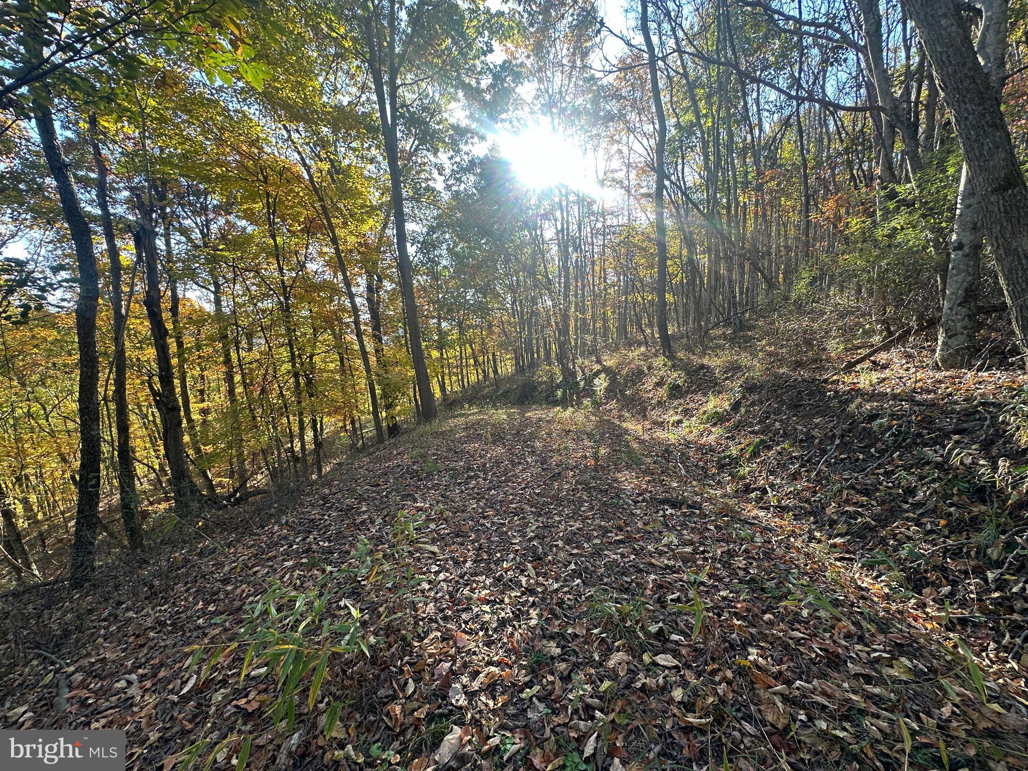 BLUFFS ON THE POTOMAC - Land