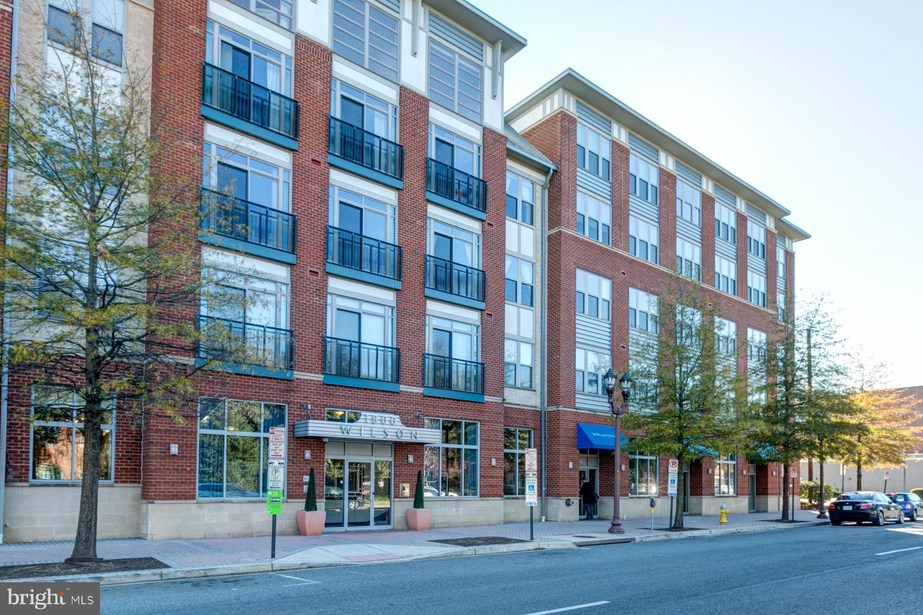 1800 WILSON - Residential Lease