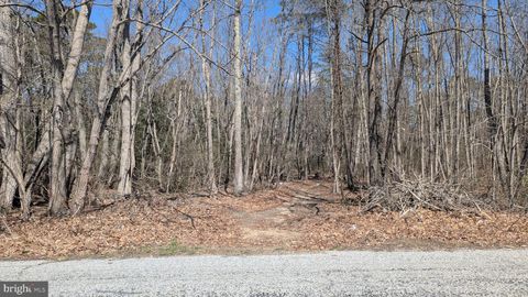 Vacant Land For Sale - Cool Run Road<br/> Salem County, BRIDGETON, NJ 08302