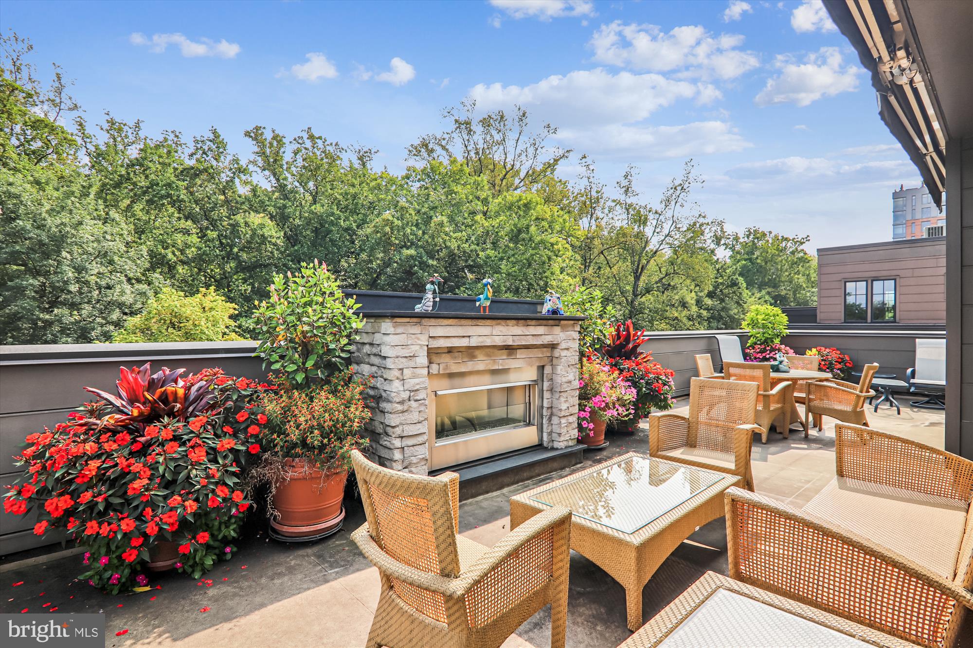 CHEVY CHASE - Residential