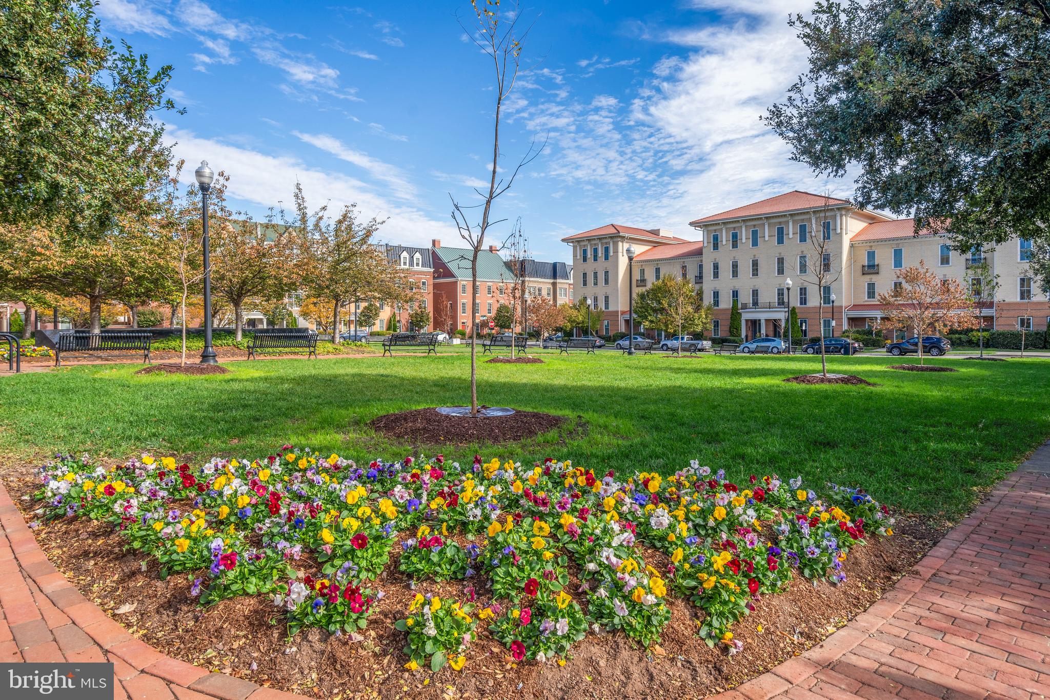POTOMAC  YARDS - Residential
