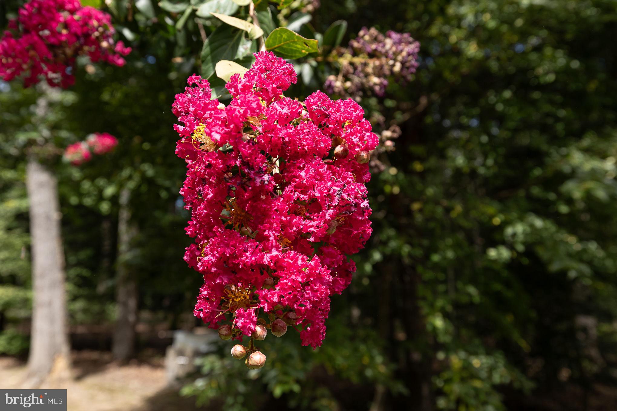 KING GEORGE ON THE POTOMAC - Residential