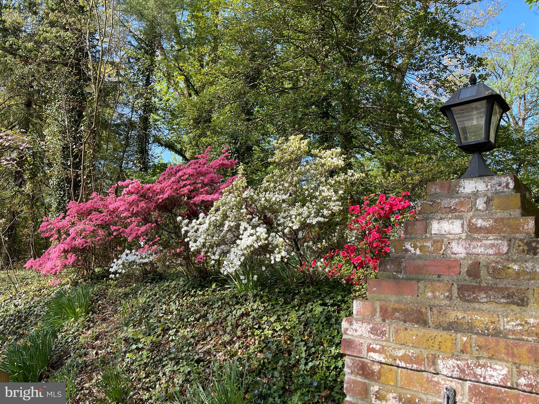 BRADLEY HILLS GROVE - Residential