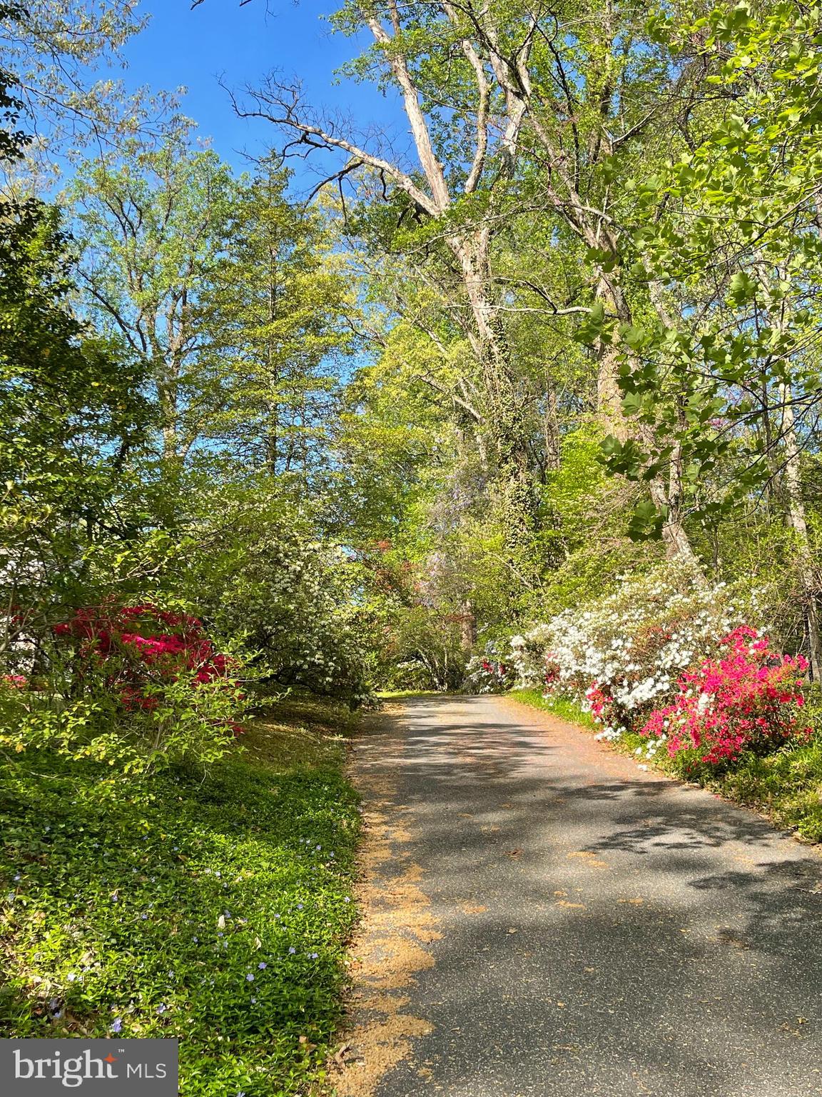 BRADLEY HILLS GROVE - Residential