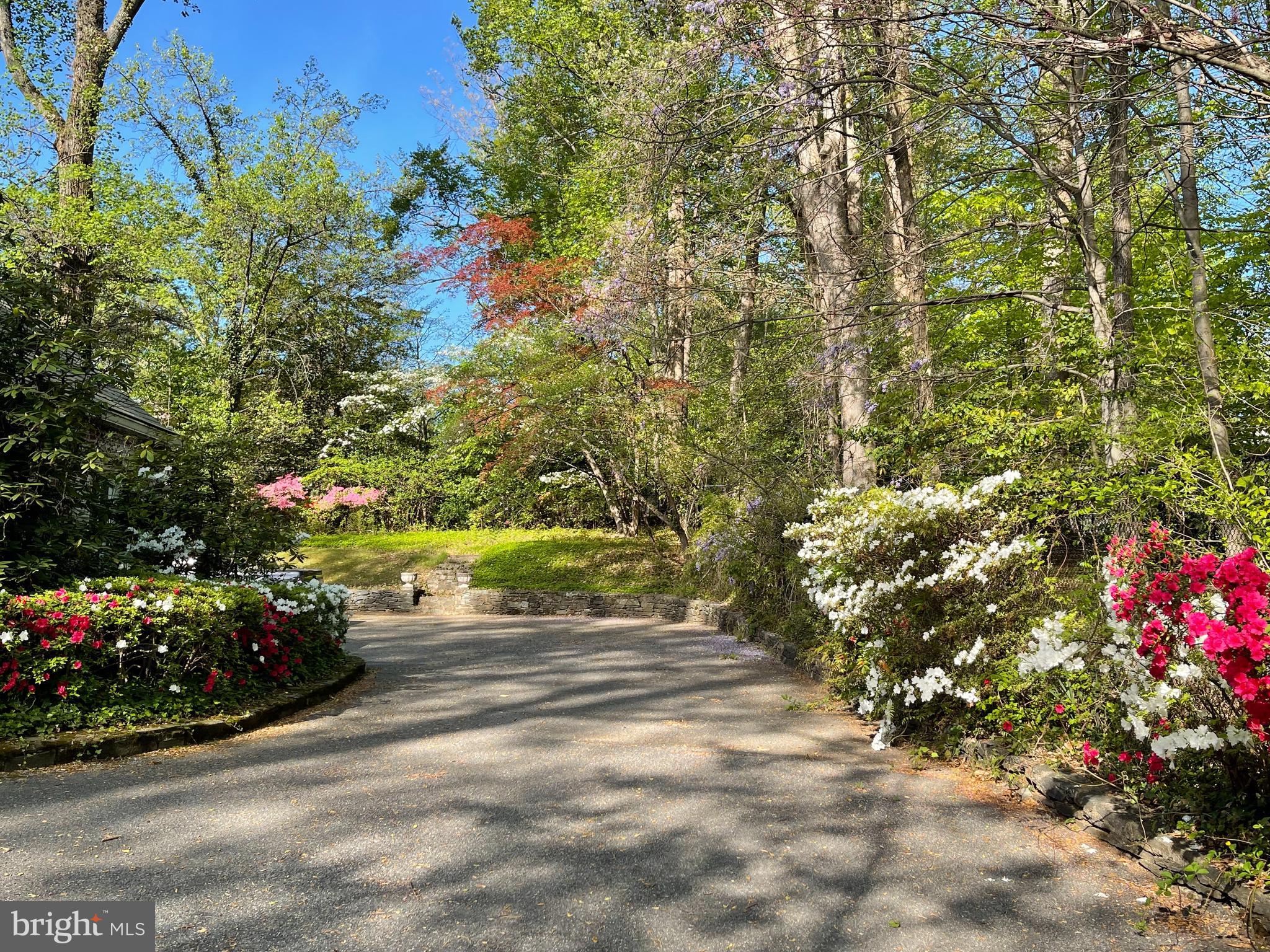 BRADLEY HILLS GROVE - Residential