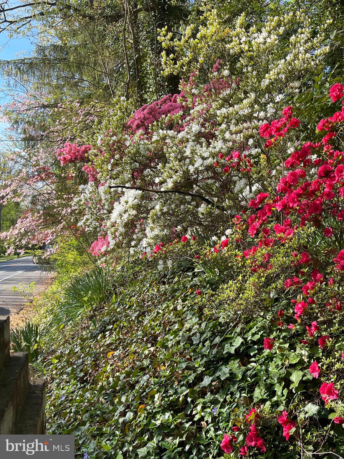 BRADLEY HILLS GROVE - Residential