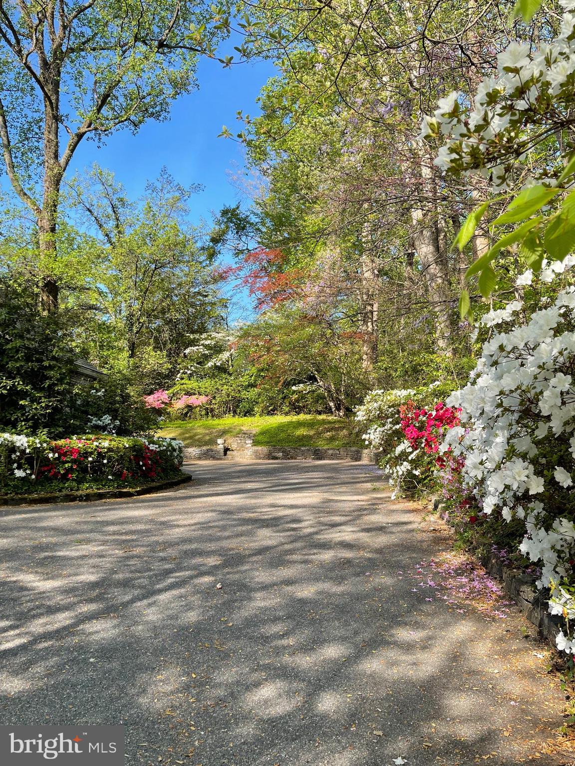 BRADLEY HILLS GROVE - Residential