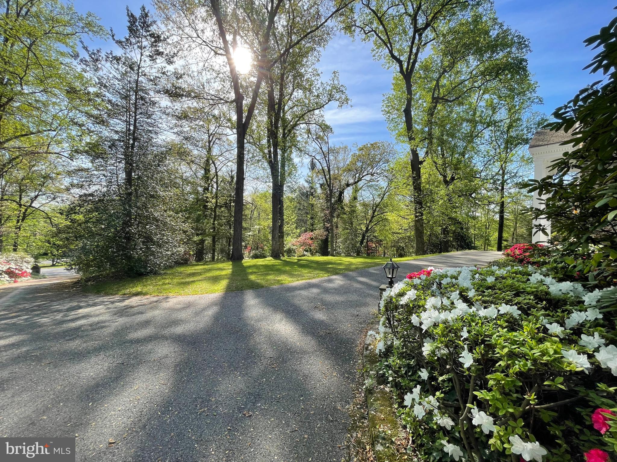 BRADLEY HILLS GROVE - Residential