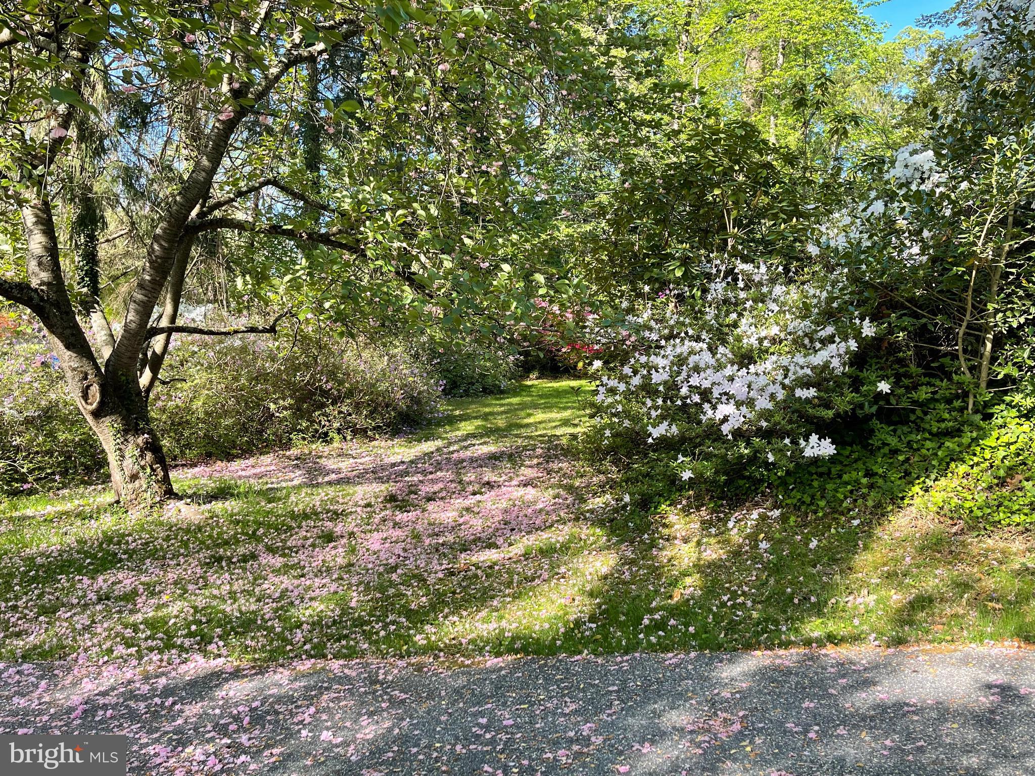 BRADLEY HILLS GROVE - Residential