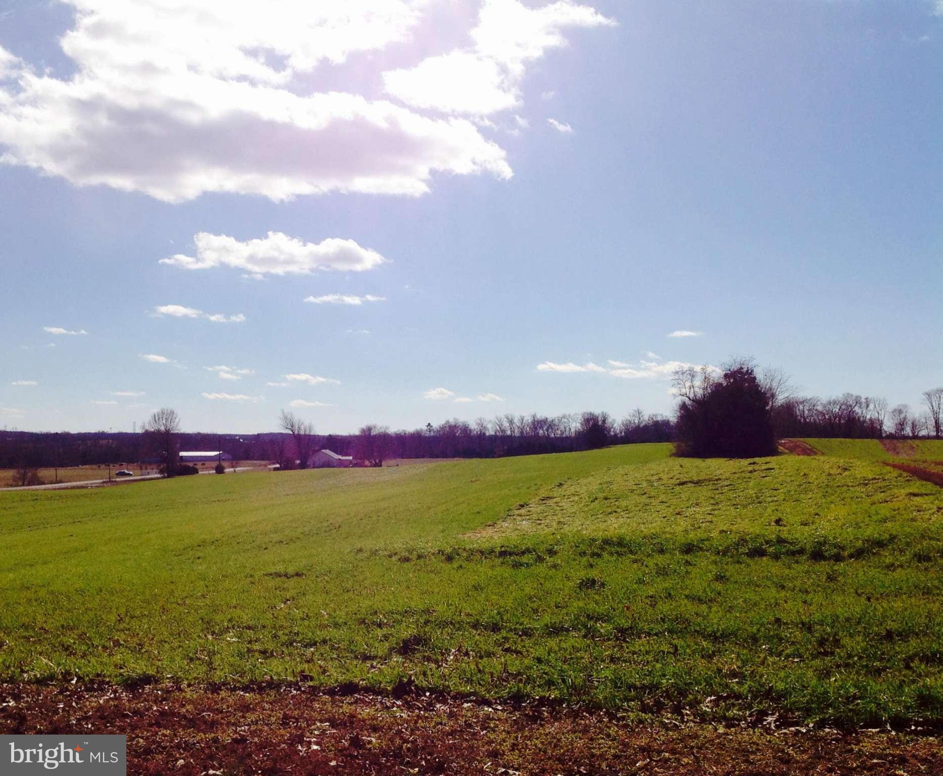 NONE AVAILABLE - Farm