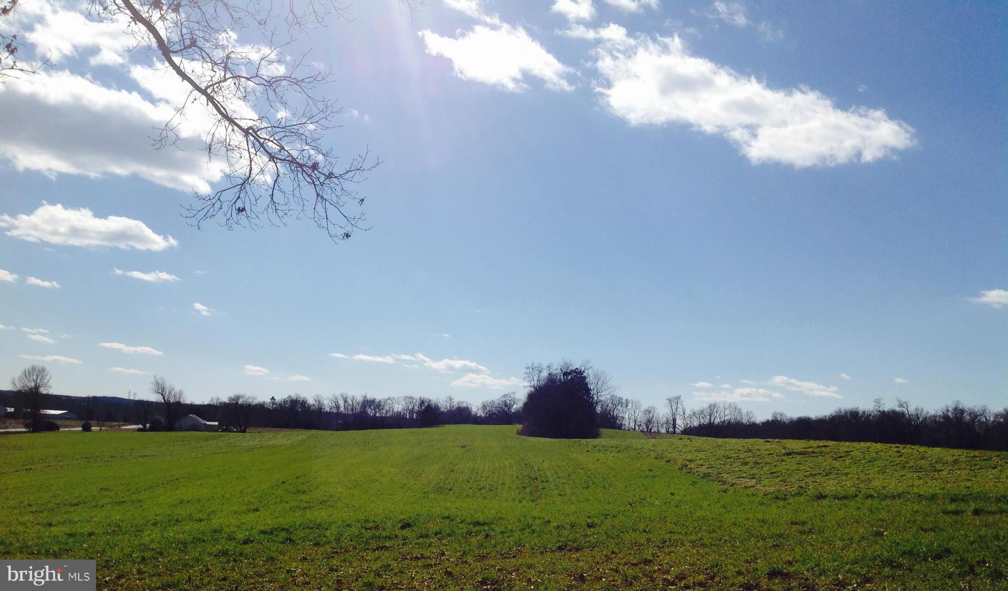 NONE AVAILABLE - Farm