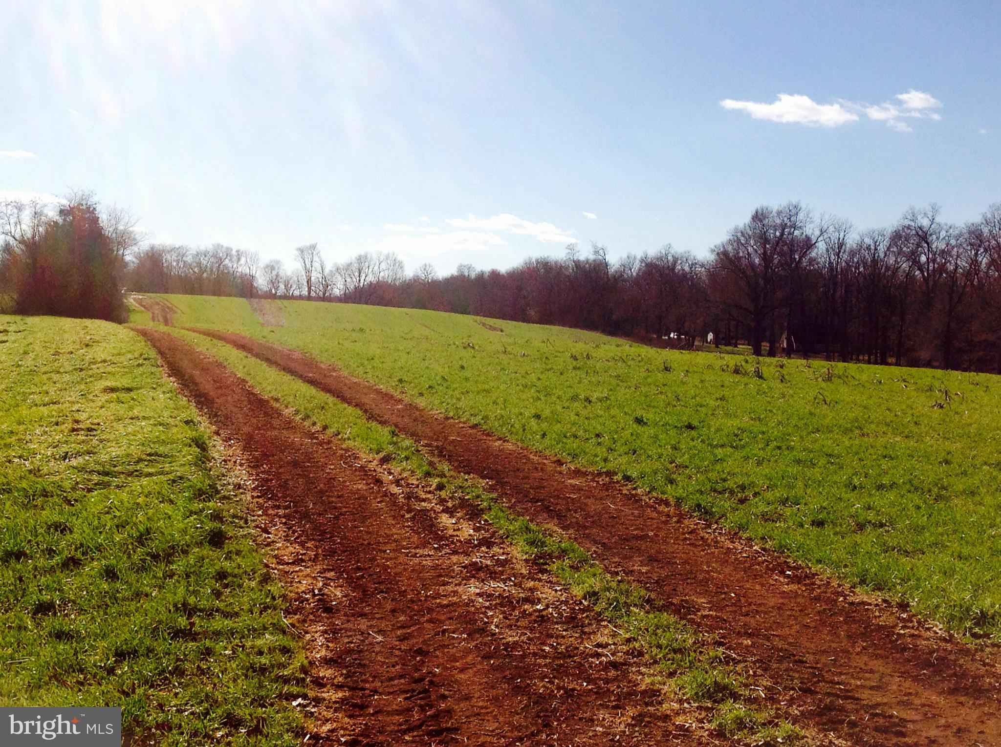 NONE AVAILABLE - Farm