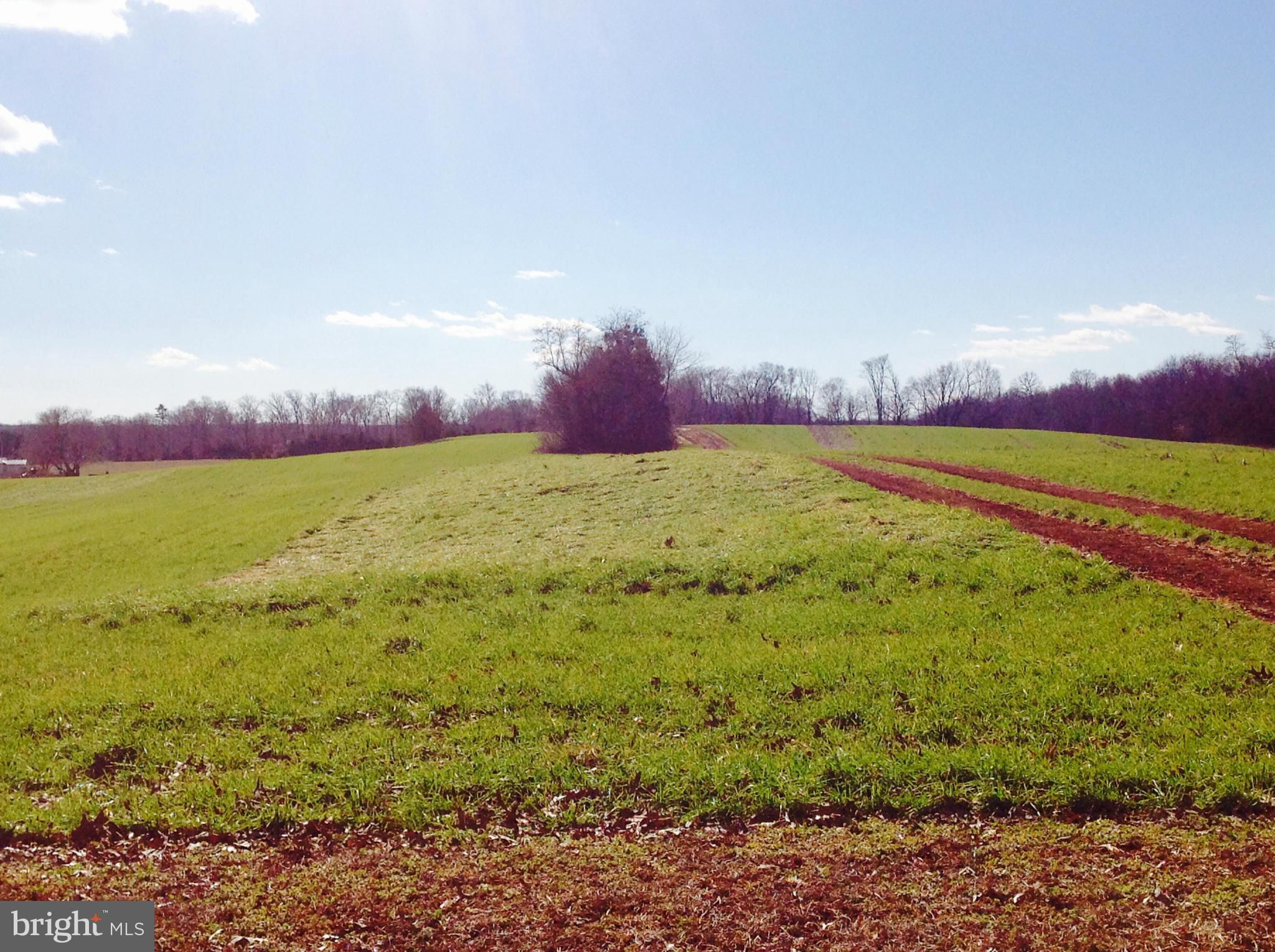 NONE AVAILABLE - Farm