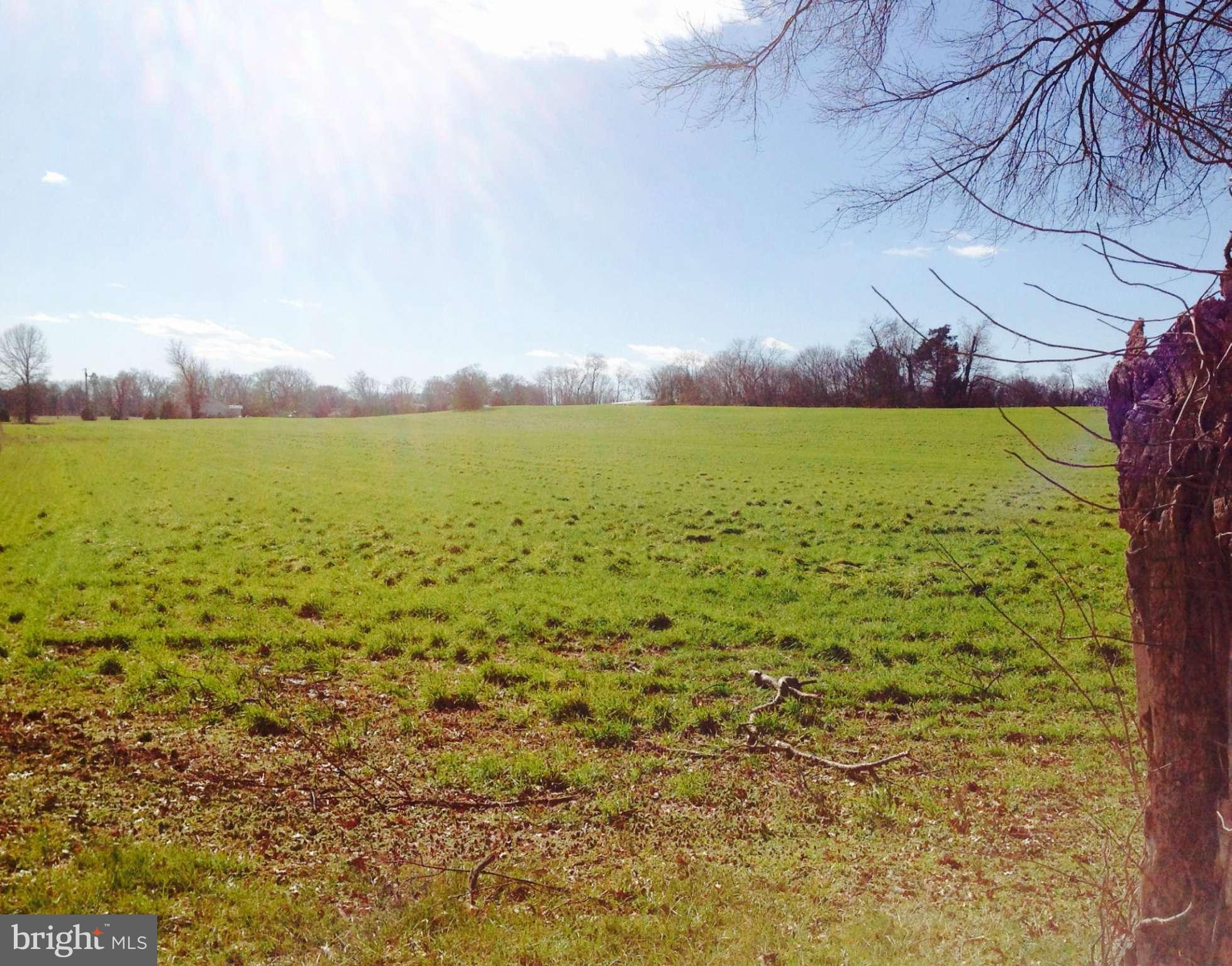 NONE AVAILABLE - Farm