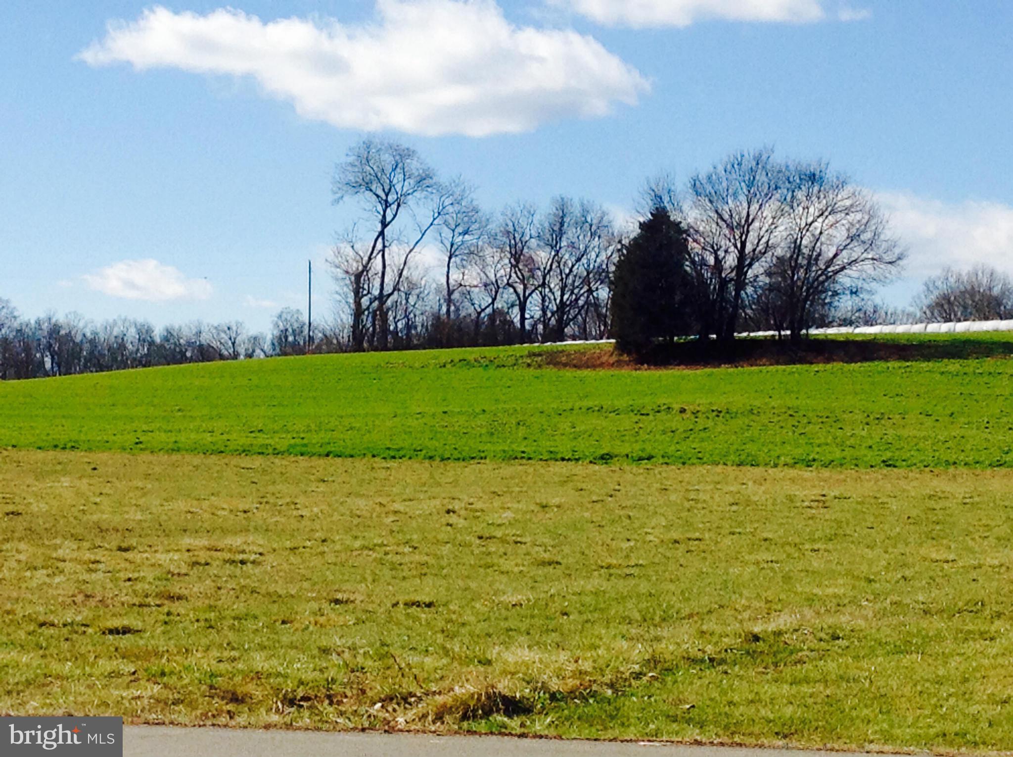 NONE AVAILABLE - Farm