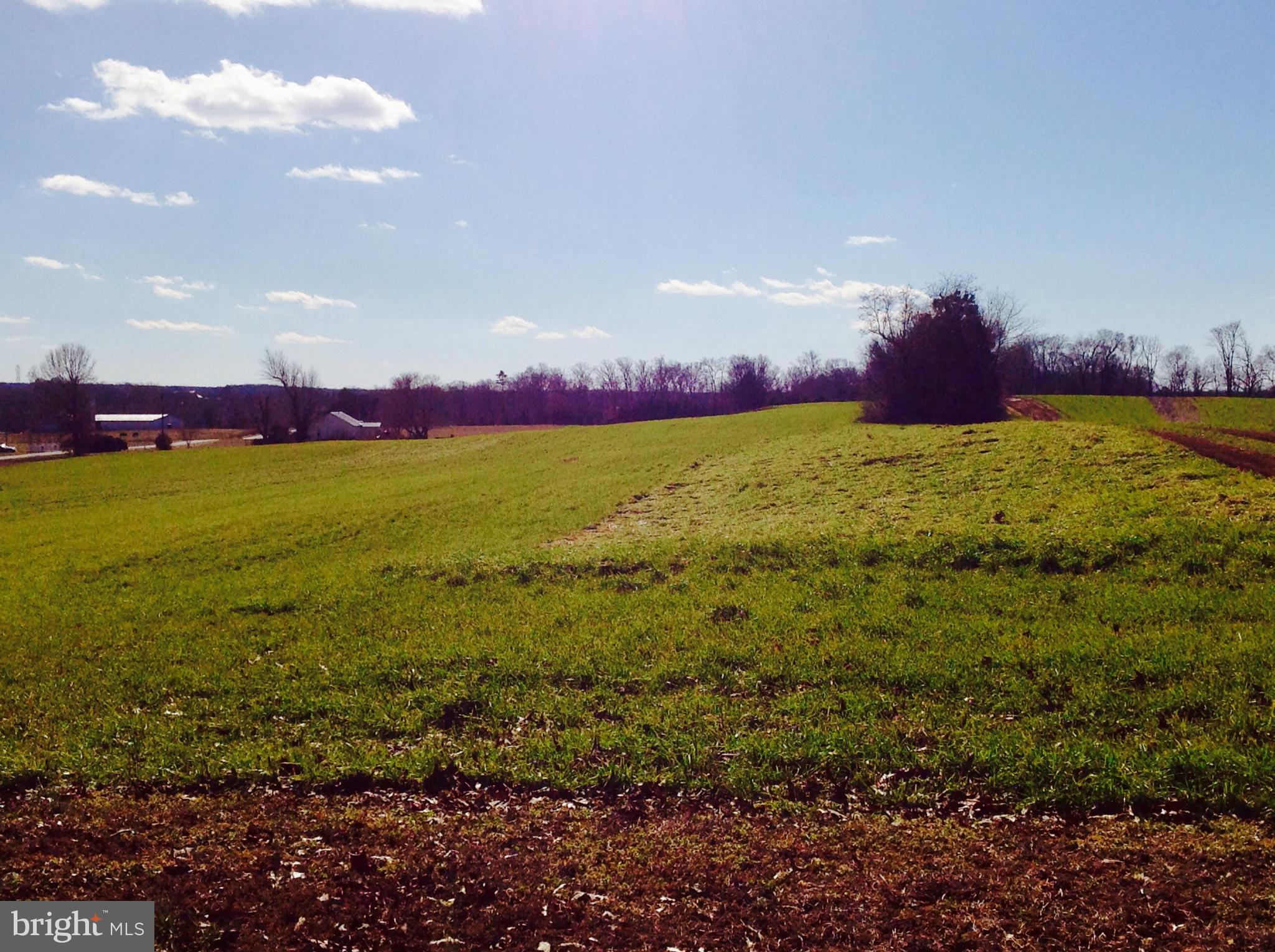 NONE AVAILABLE - Farm