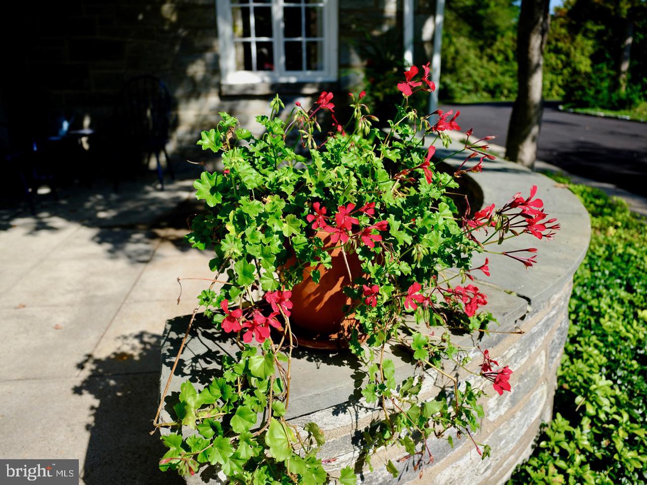 DELAVUE MANOR - Residential