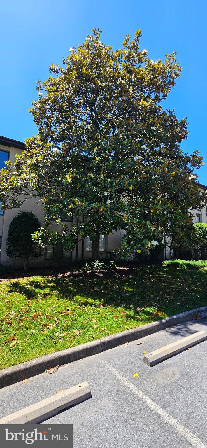 BROOKMILL CONDOMINIUMS - Residential