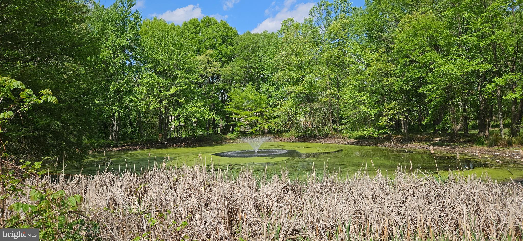 BROOKMILL CONDOMINIUMS - Residential