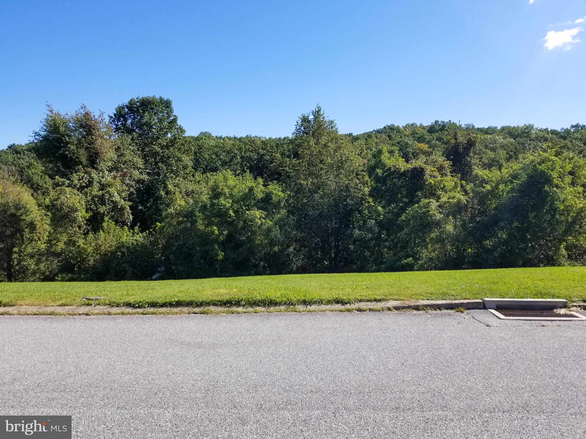 TAYLOR ESTATES - Land