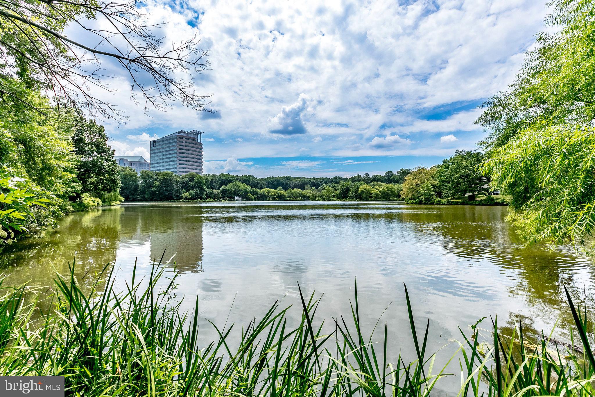 NEW PROVIDENCE VILLAGE - Residential