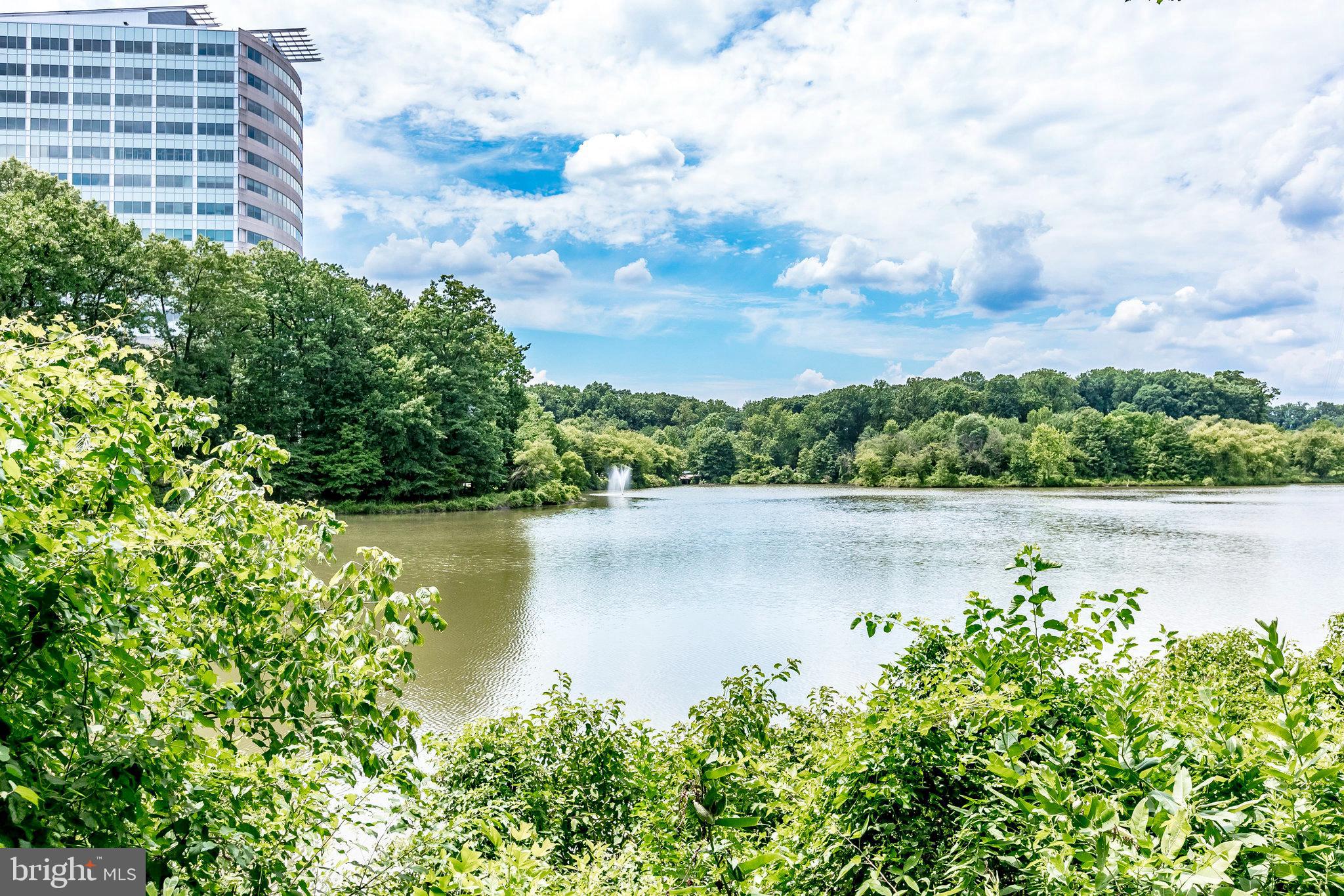 NEW PROVIDENCE VILLAGE - Residential