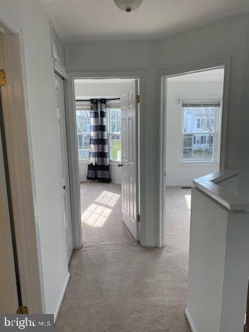 VILLAGE SHIRES - Residential Lease