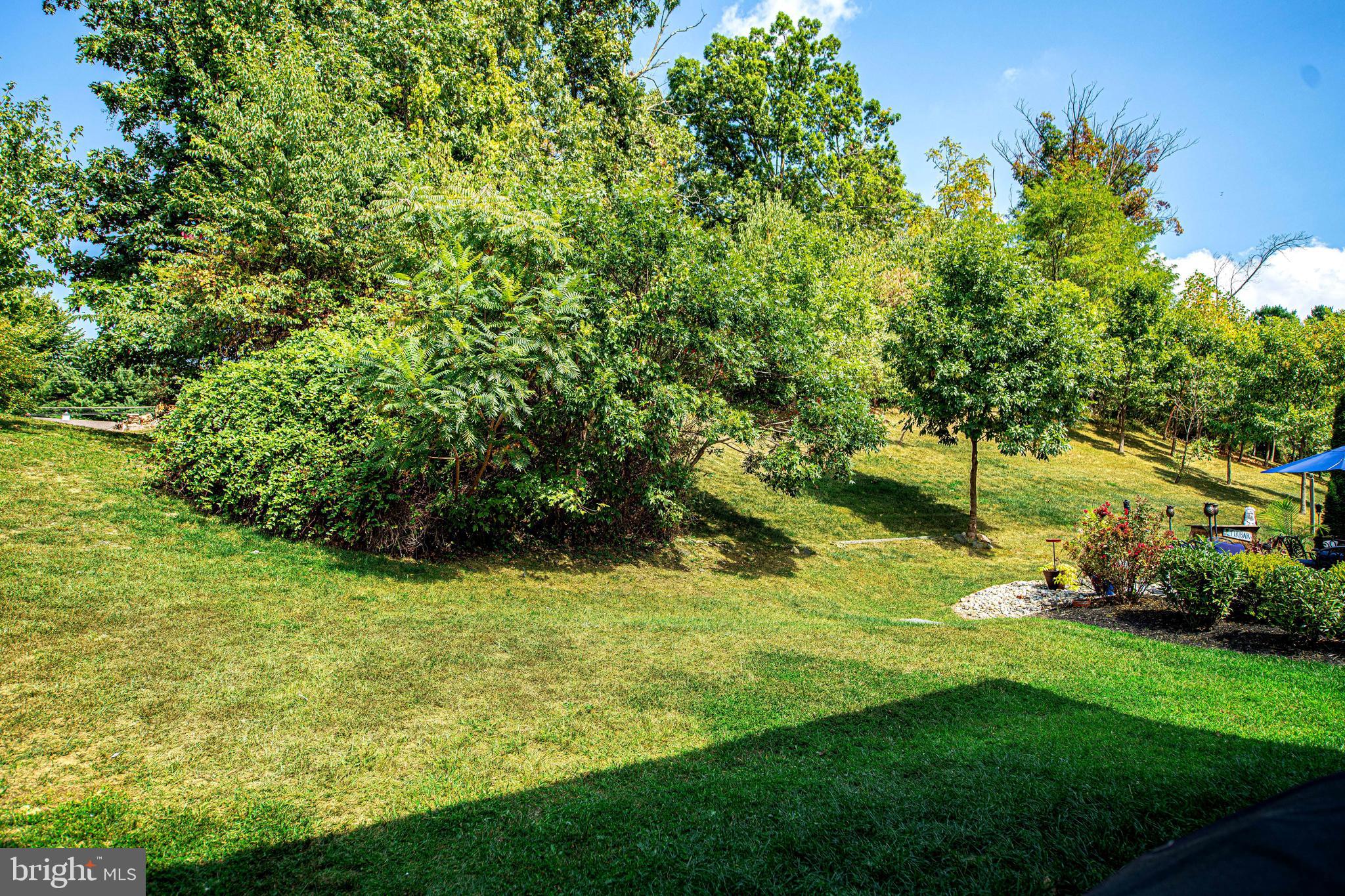 PROSPECT GREEN - Residential