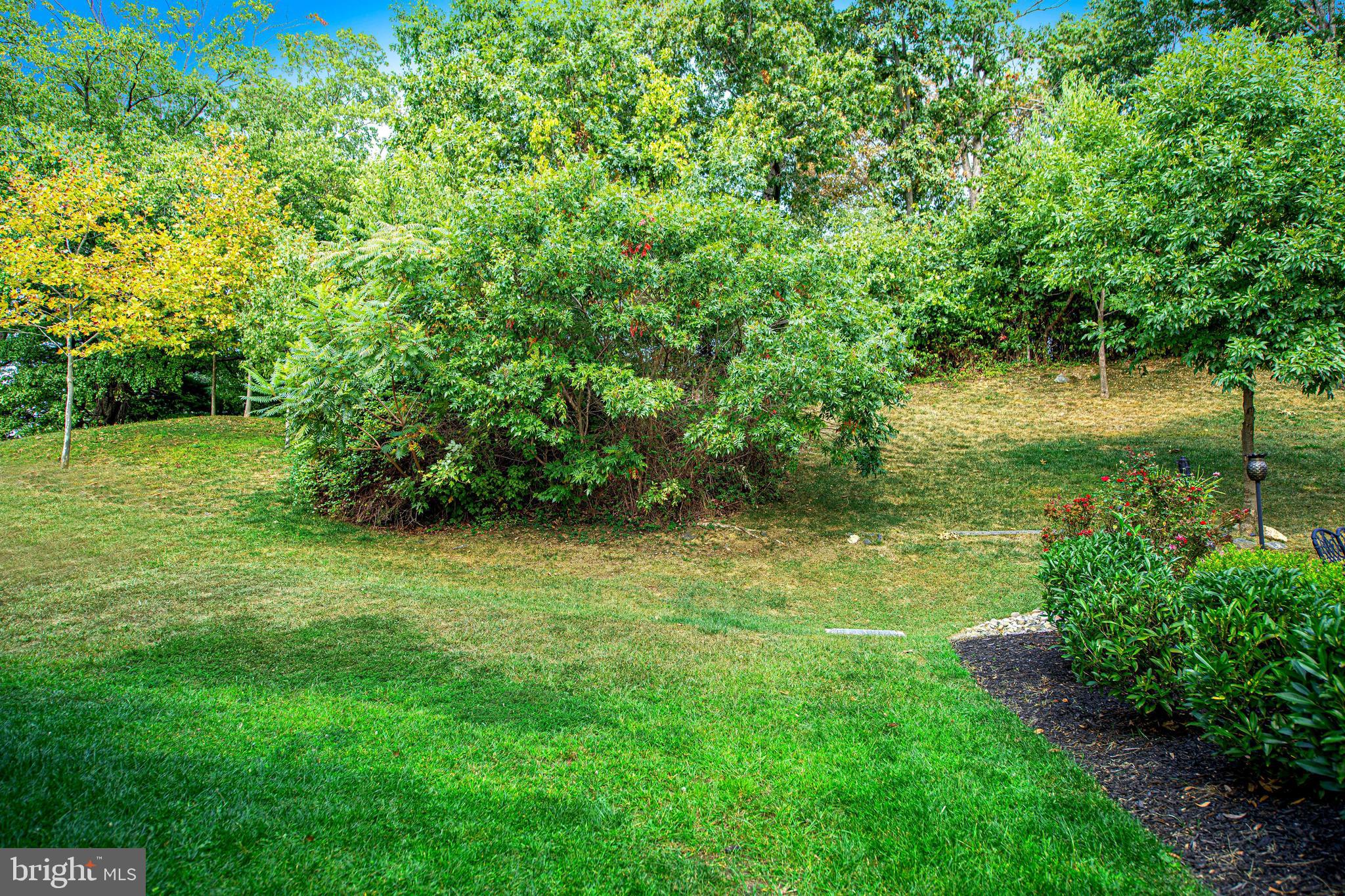 PROSPECT GREEN - Residential