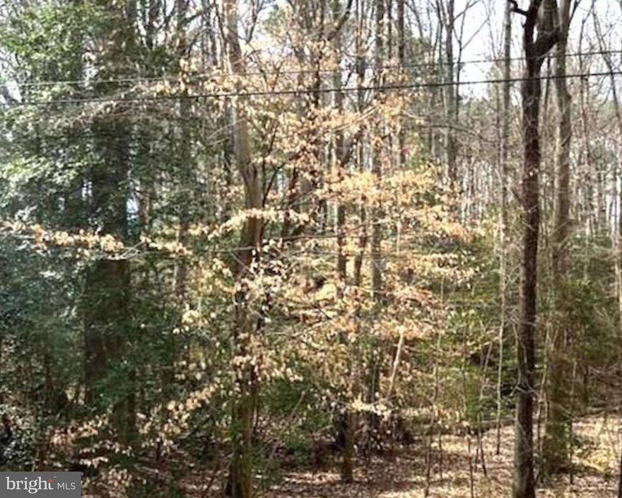 Build your dream home on this stunning 3.4-acre property nestled in the heart of St. Inigoes Landing. Embrace the opportunity to begin building your vision today on this ready-to-develop lot. With approval for a 4-bedroom home and a septic capacity of 1500 gallons, your dream home awaits. Situated near Jutland Creek, St. Mary's City, and Elms Beach, you'll enjoy the tranquility of Seaside View Park, just 2.1 miles away, while Elm's Beach is a mere 6 miles away. Indulge in the natural beauty of the area, all while being conveniently located near shopping, high schools, St. Mary City, and St. Mary College. Tour this lot today!