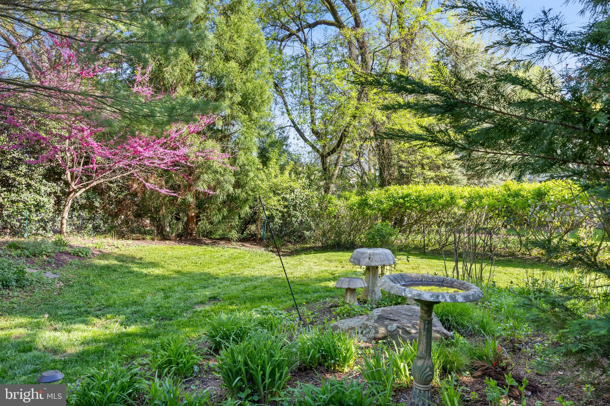 BOXWOOD - Residential