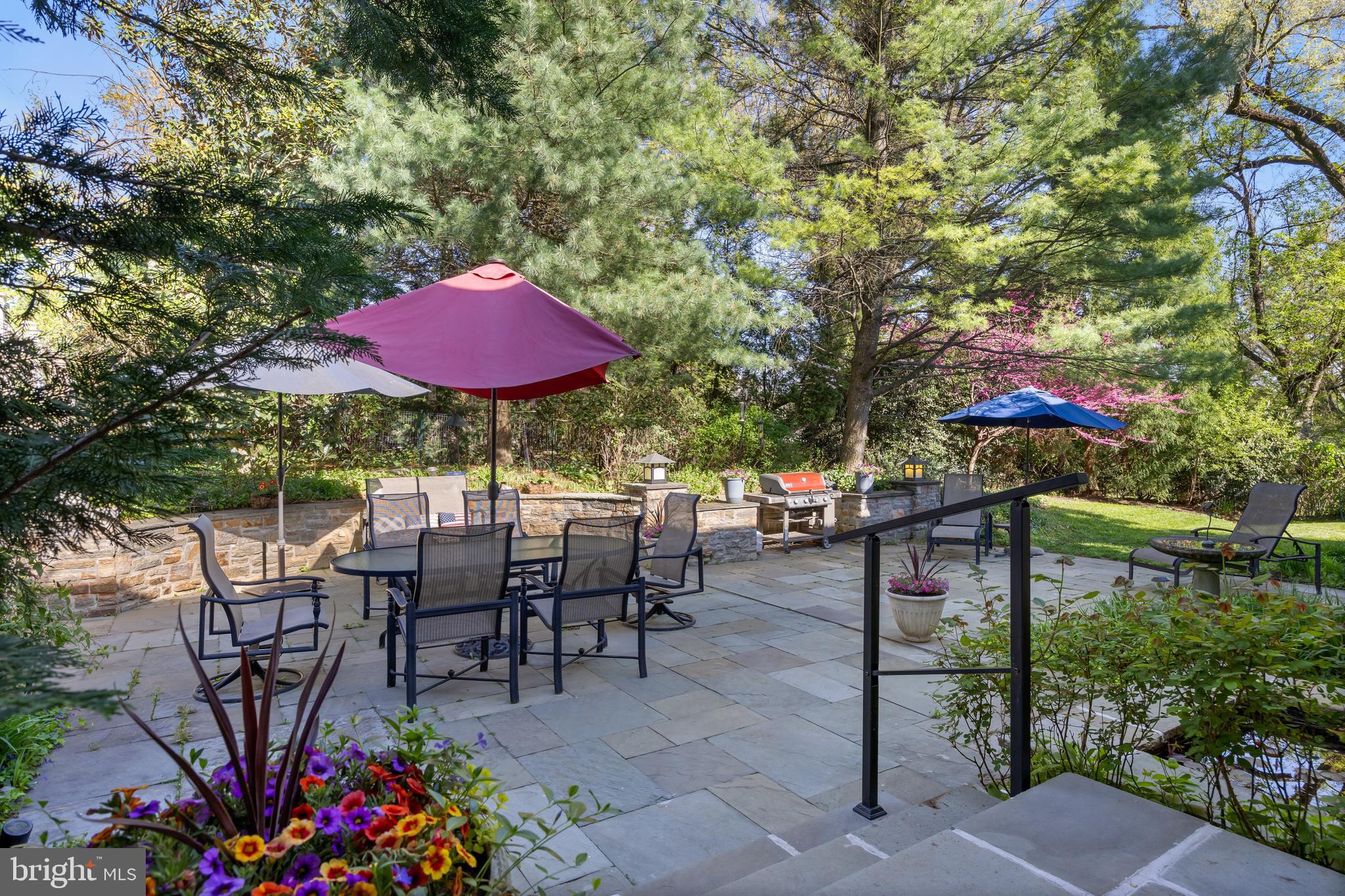 BOXWOOD - Residential